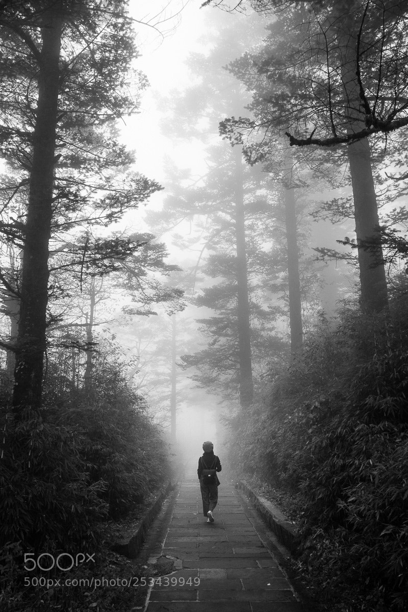 Fujifilm X-T1 sample photo. In the mist of photography