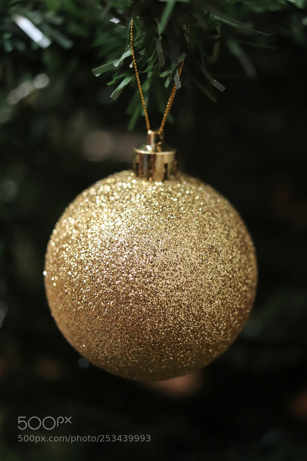 Canon EOS 200D (EOS Rebel SL2 / EOS Kiss X9) sample photo. Gold new year photography