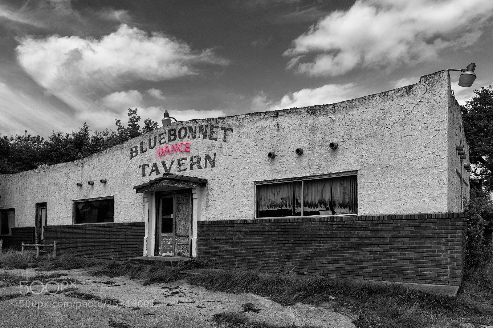 Nikon D850 sample photo. Bluebonnet tavern photography