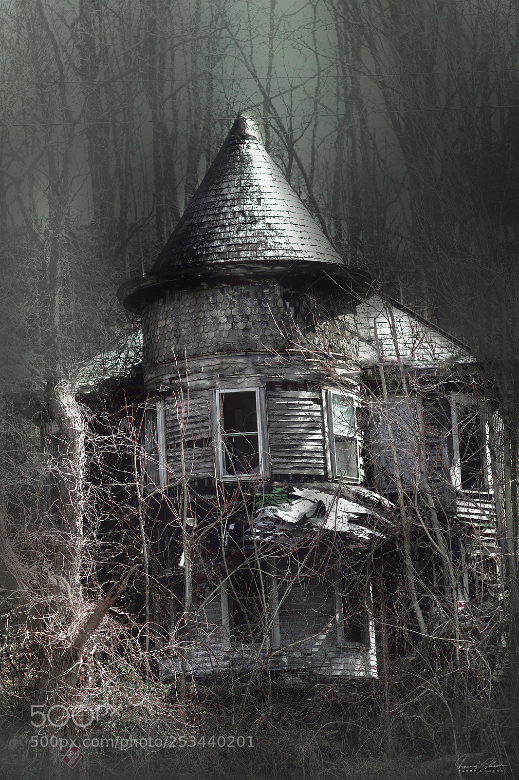 Canon EOS 7D sample photo. Witch hat house photography