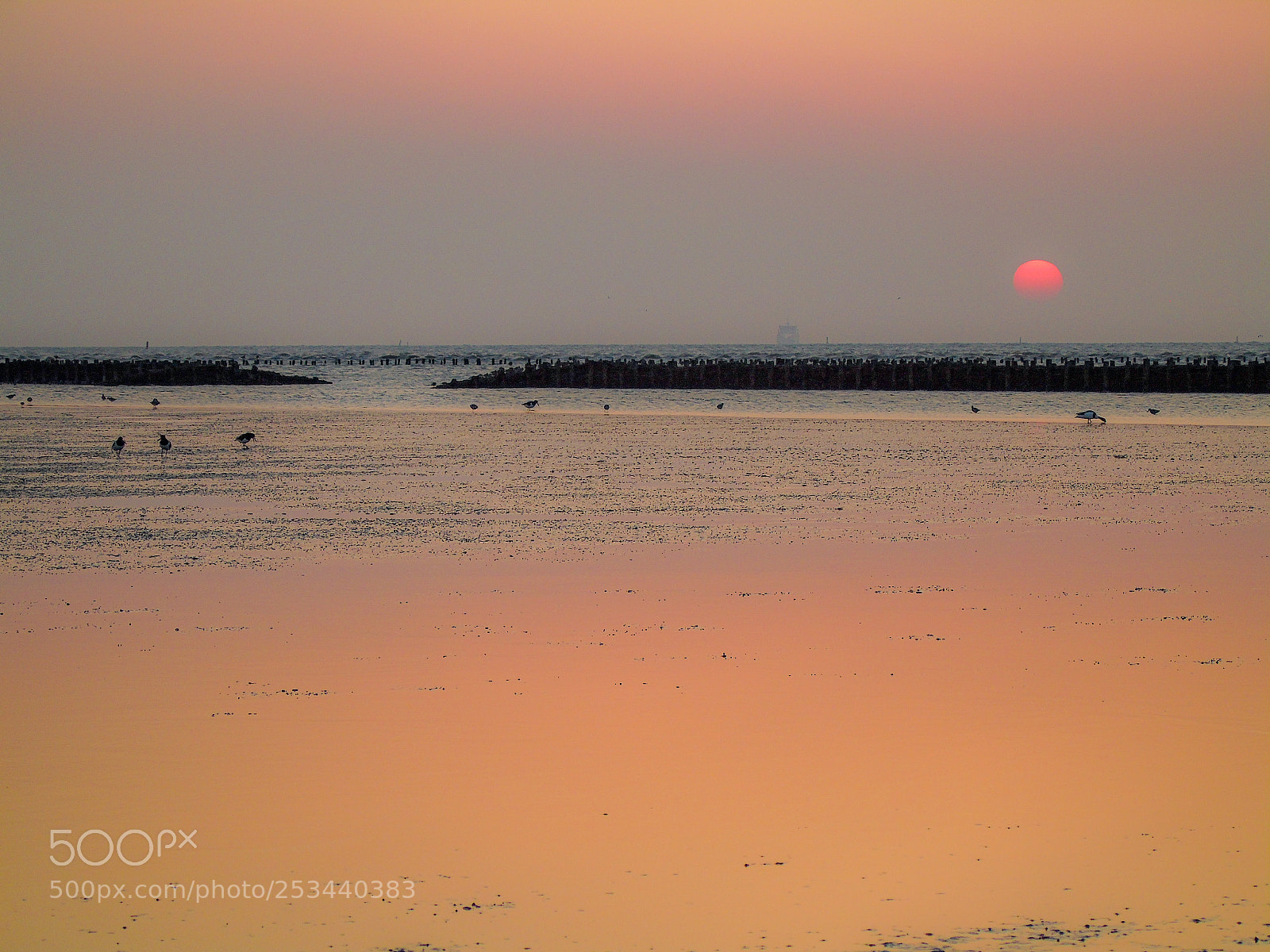 Sony Cyber-shot DSC-H400 sample photo. Foggy sunset photography