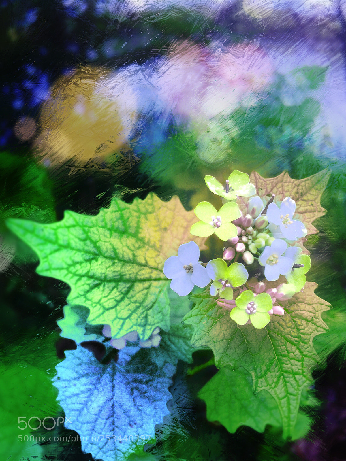 Apple iPhone 6 sample photo. Spring flowers  photography