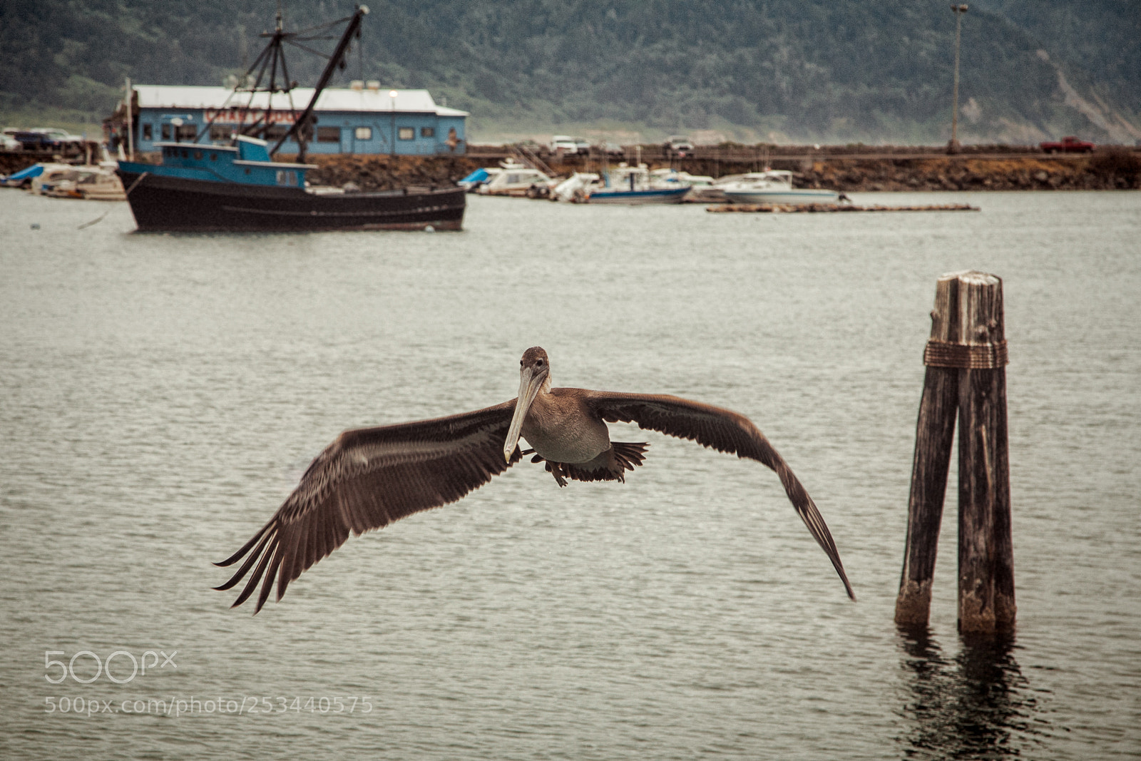 Canon EOS 5D sample photo. Sitting on the dock photography