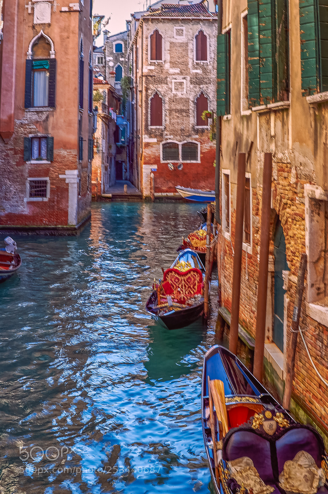 Nikon D4S sample photo. Best of venice photography