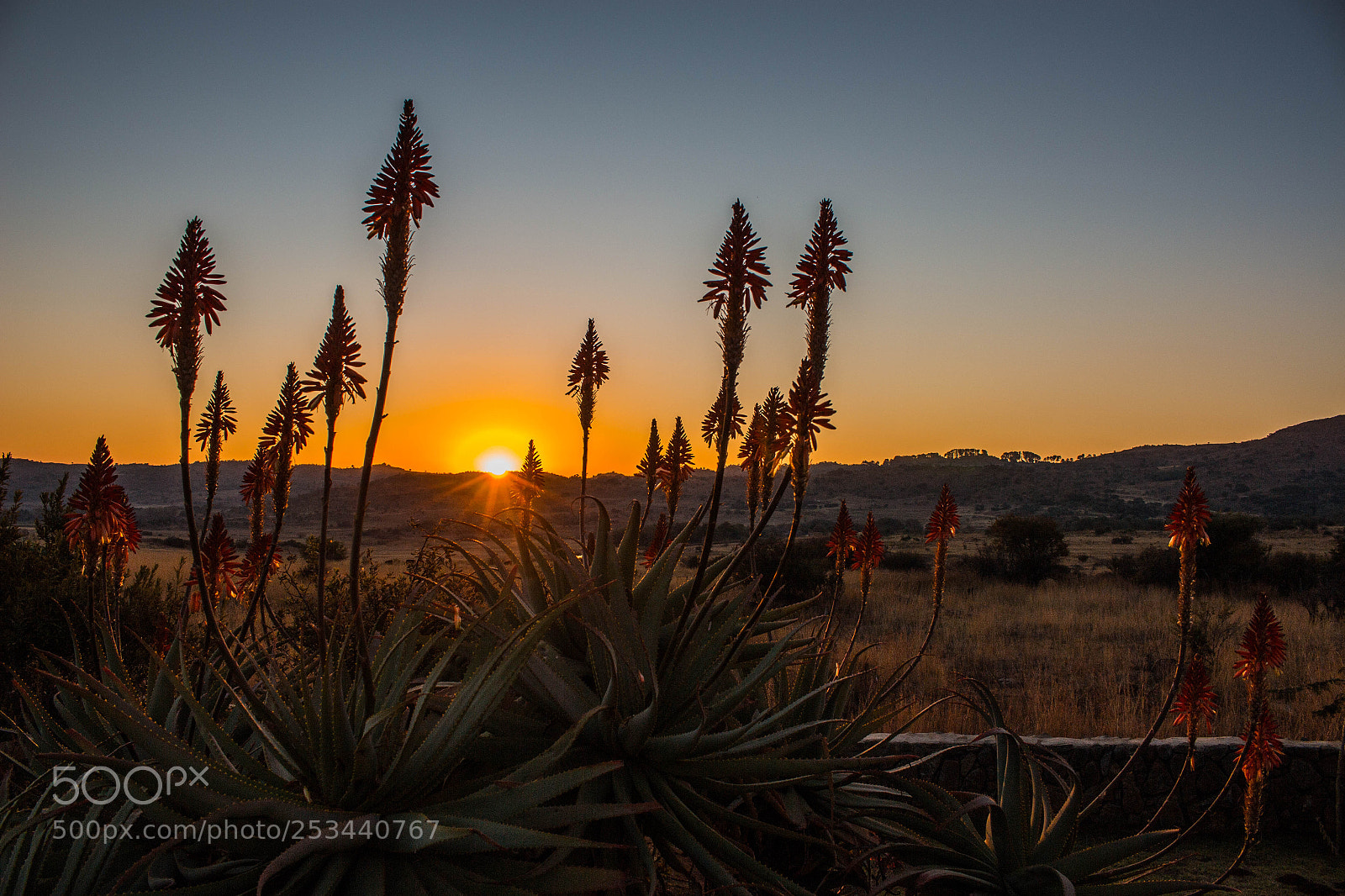 Canon EOS 700D (EOS Rebel T5i / EOS Kiss X7i) sample photo. Rural sunset photography