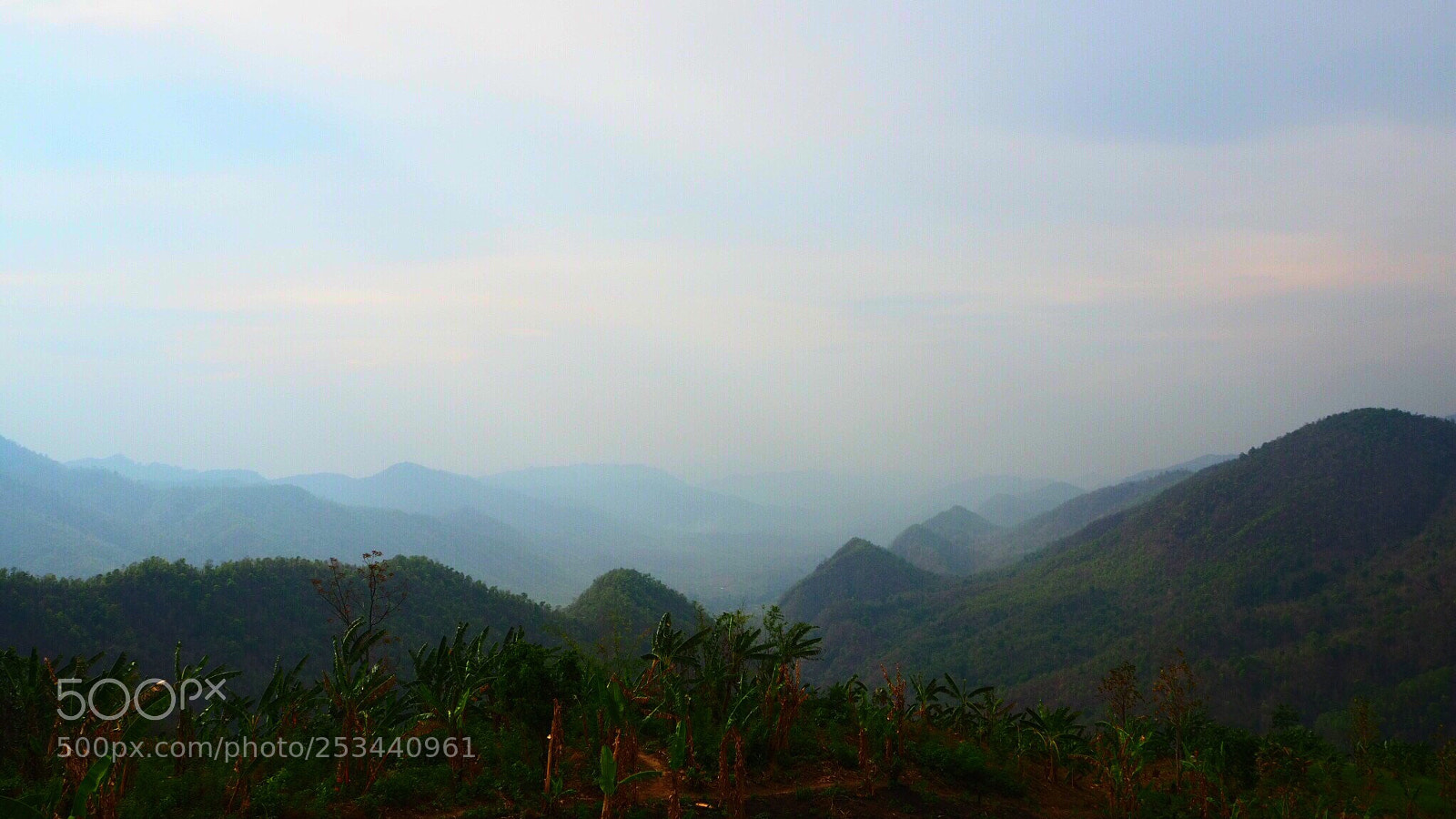 Olympus OM-D E-M10 III sample photo. Kalaw viewpoint photography