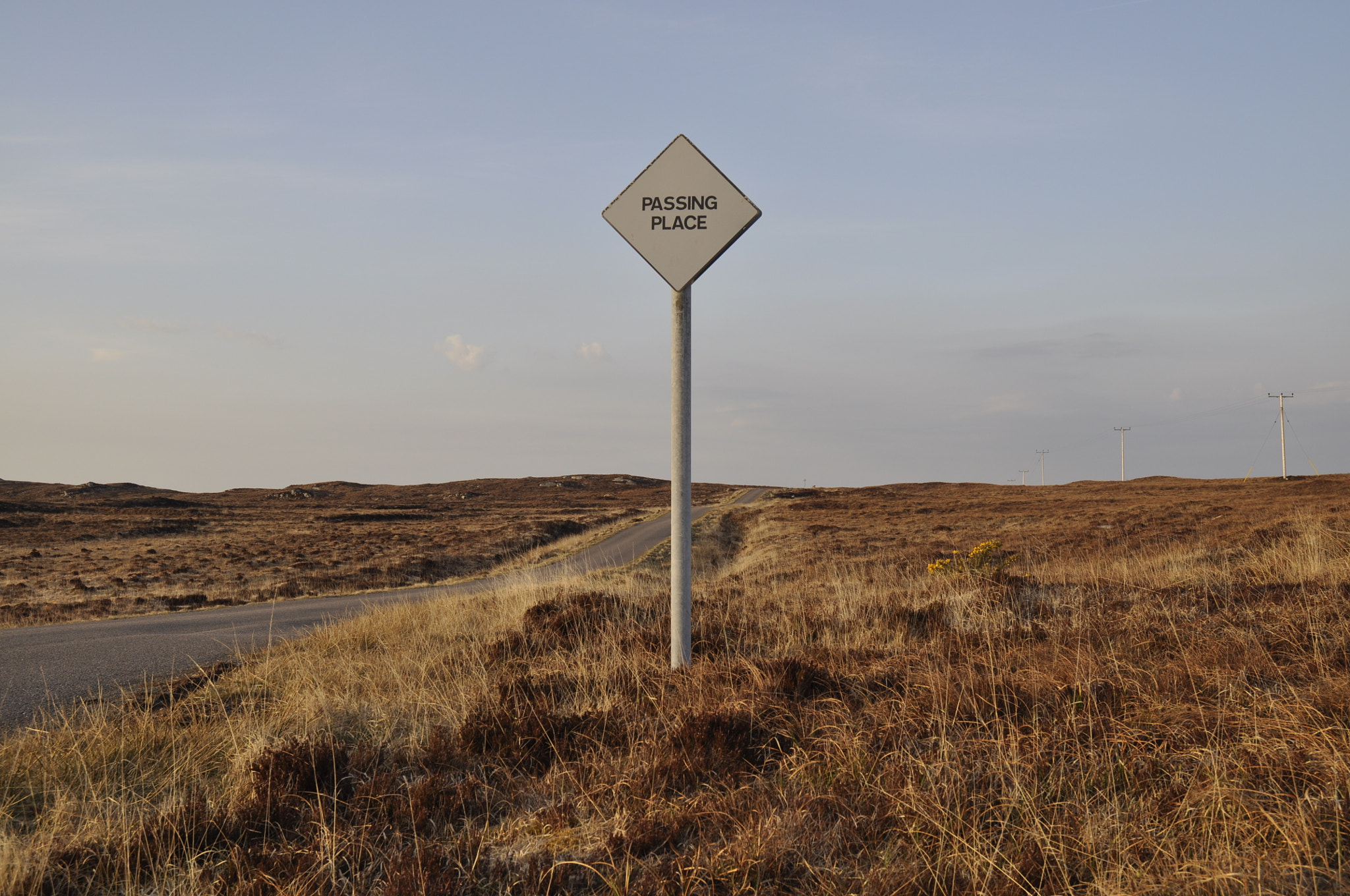 Nikon D5000 sample photo. Traffic management, isle. of coll scottish hebridi photography
