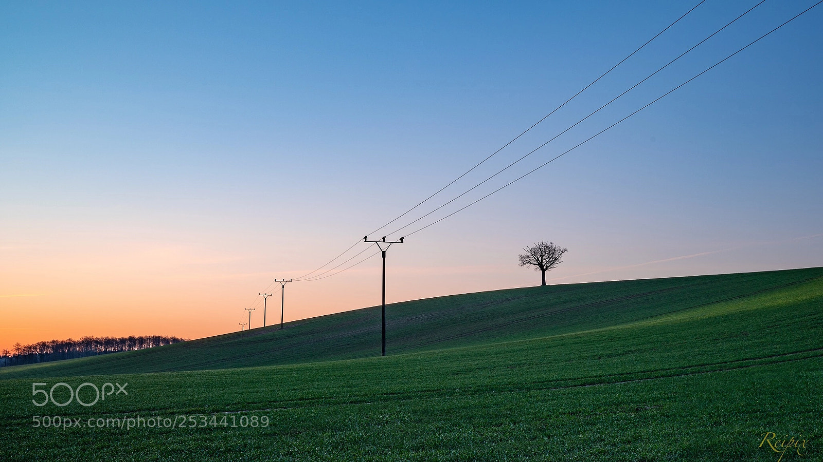Sony a7R III sample photo. Untitled photography