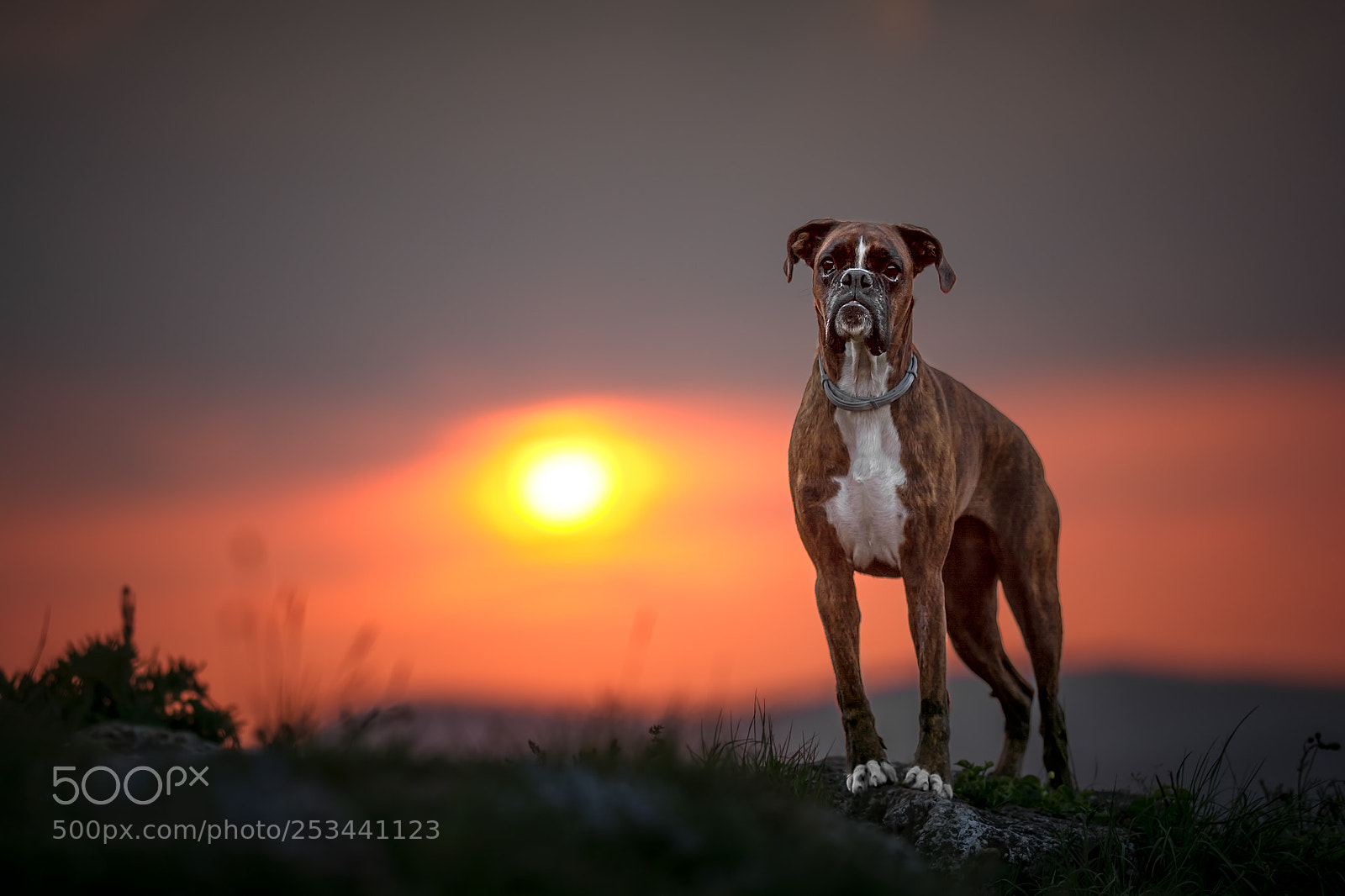 Nikon D7100 sample photo. Last light photography