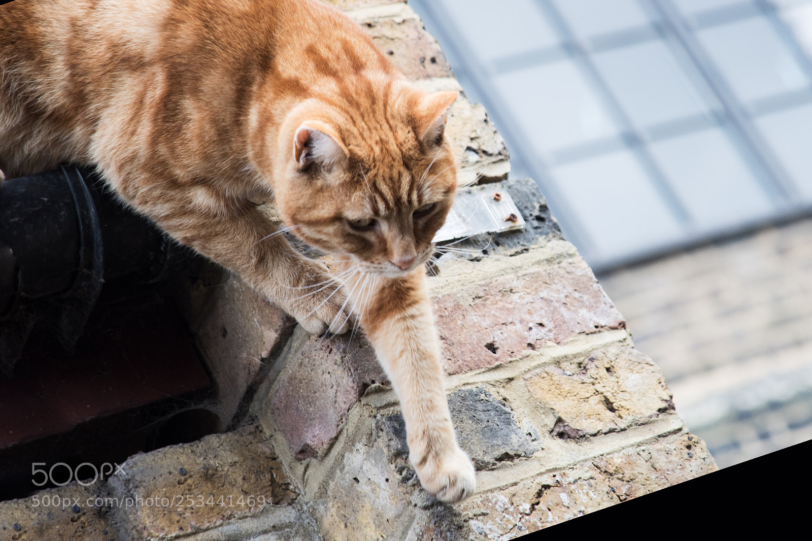 Nikon D810 sample photo. A photography