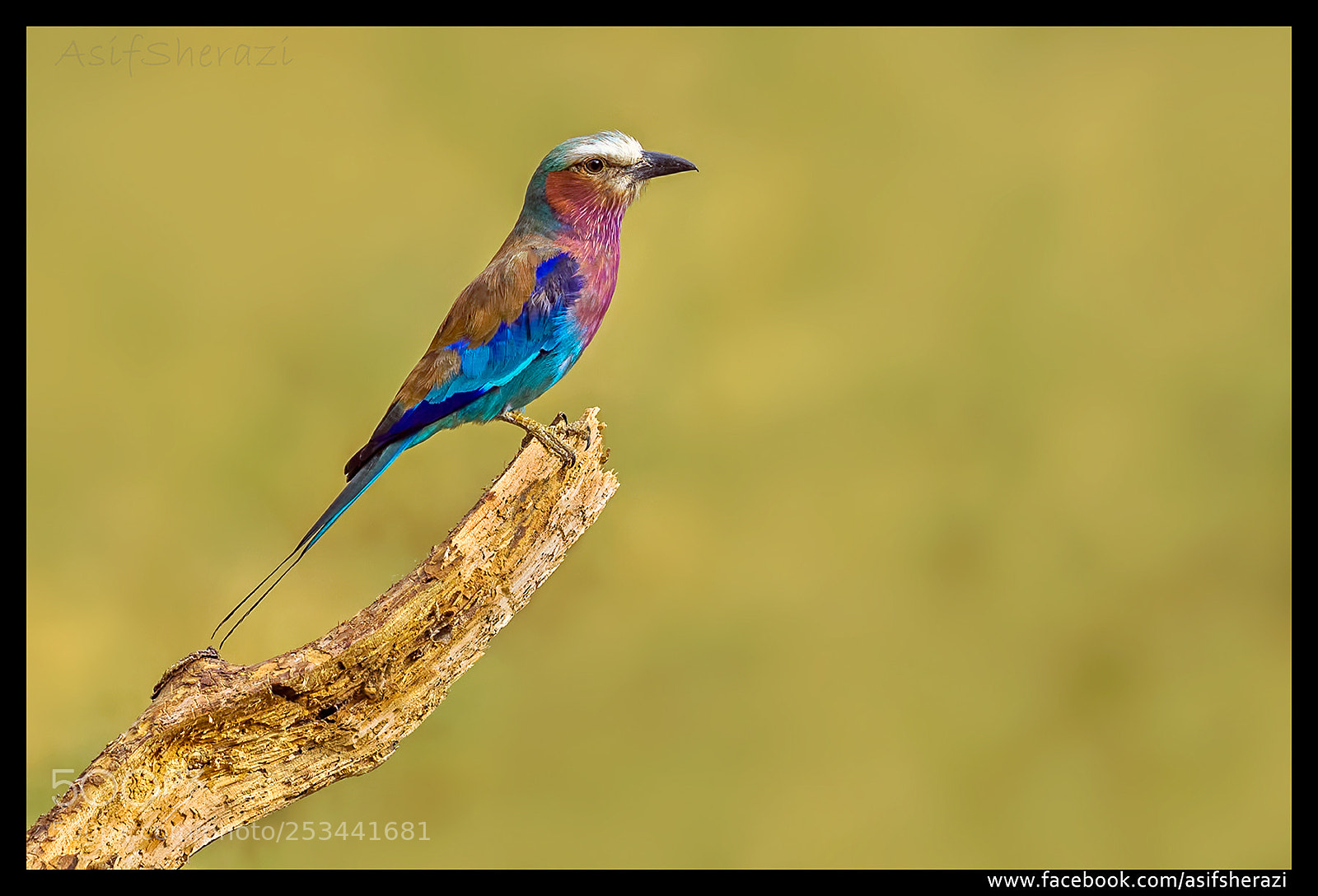 Nikon D5 sample photo. Beauty of the nature photography