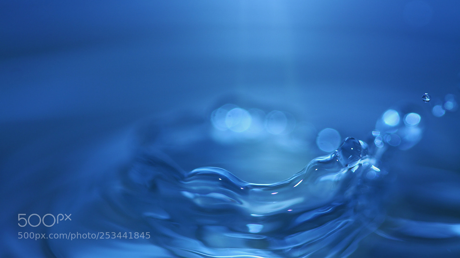 Canon EOS 50D sample photo. Splash x photography