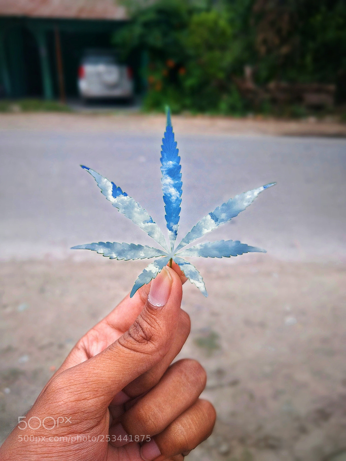 Google Nexus 6P sample photo. Puff + puff = peace photography