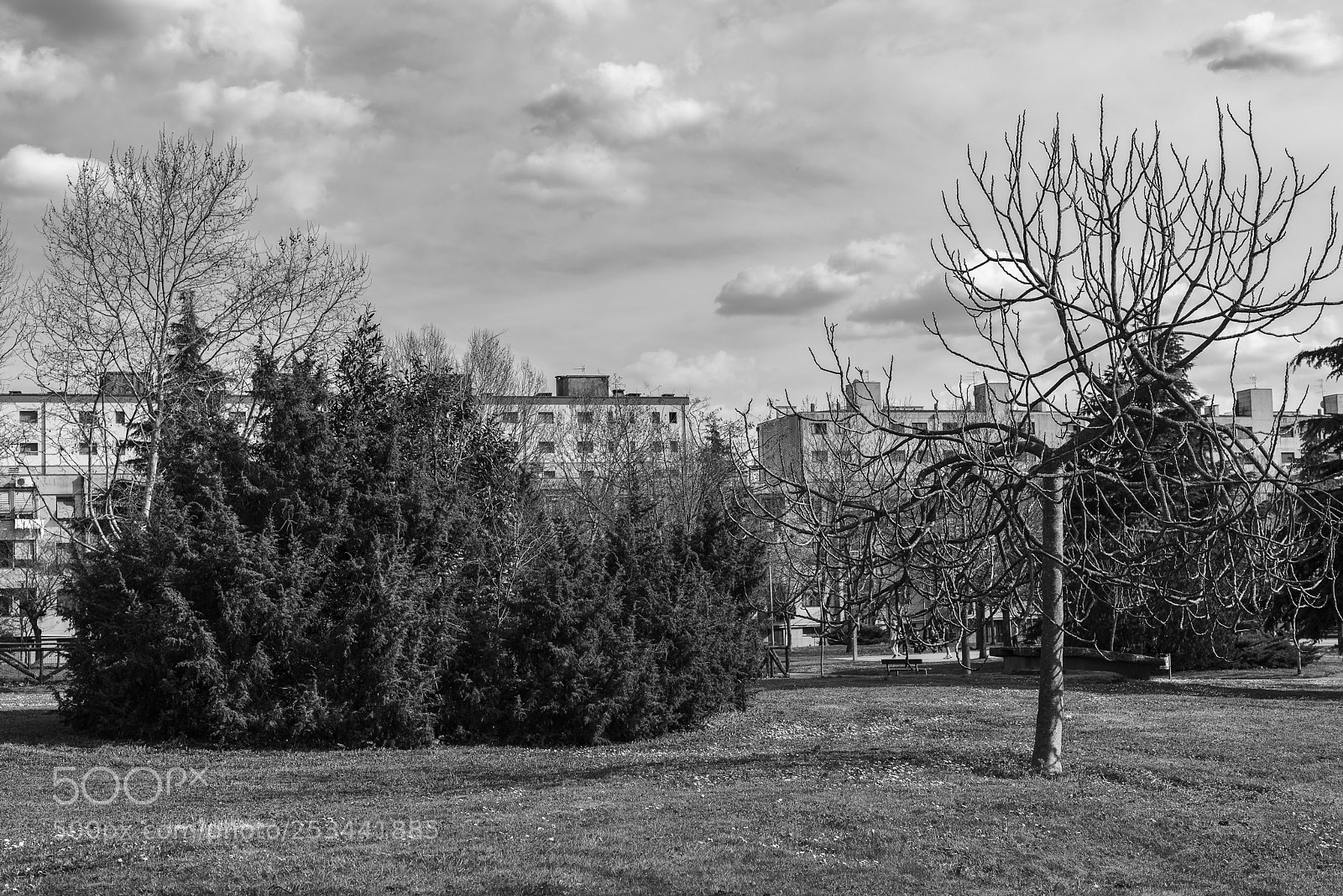 Nikon D810 sample photo. 6th, sw border - 1 photography