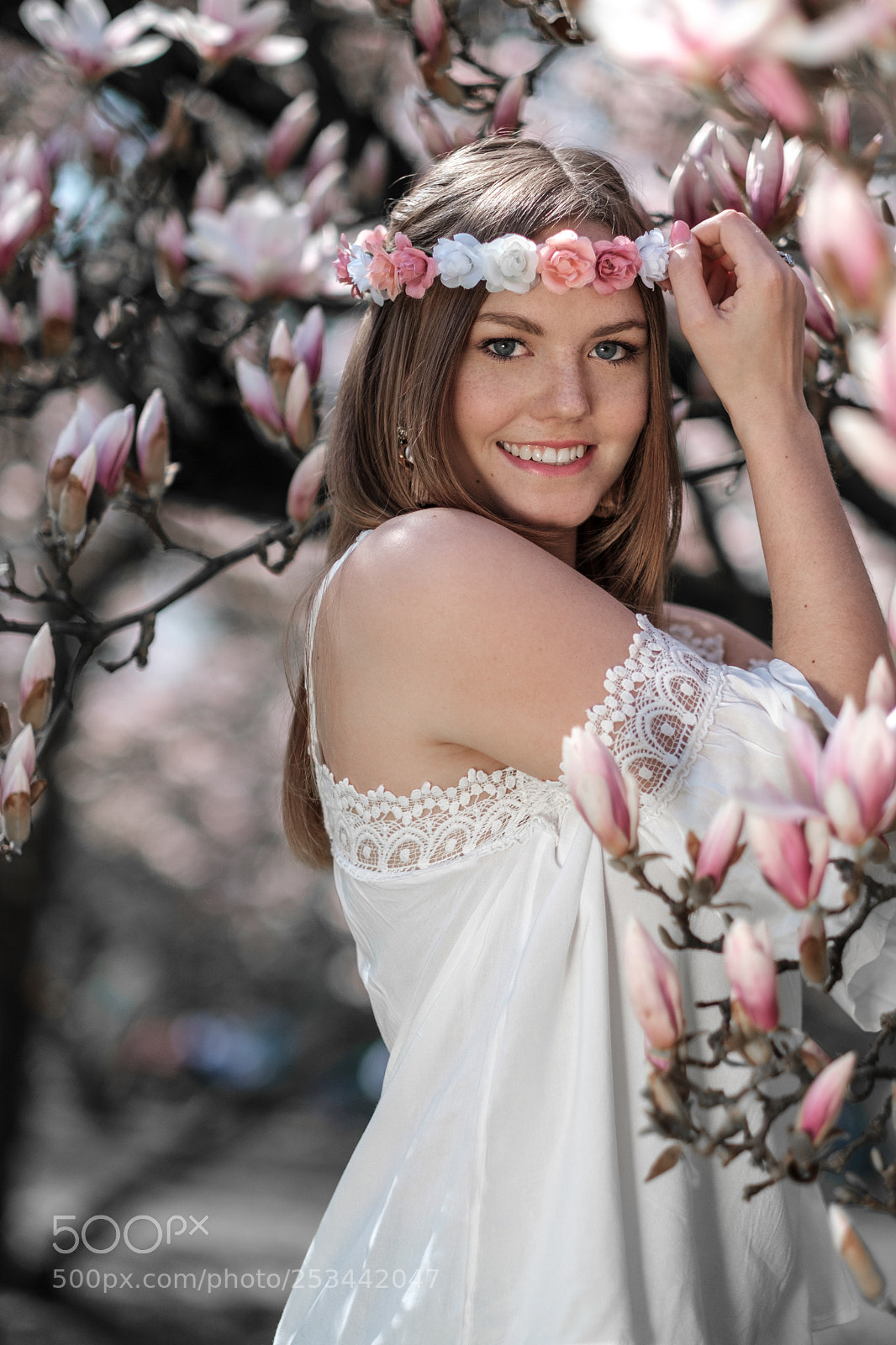 Fujifilm X-T2 sample photo. Lovely magnolia trees 02 photography