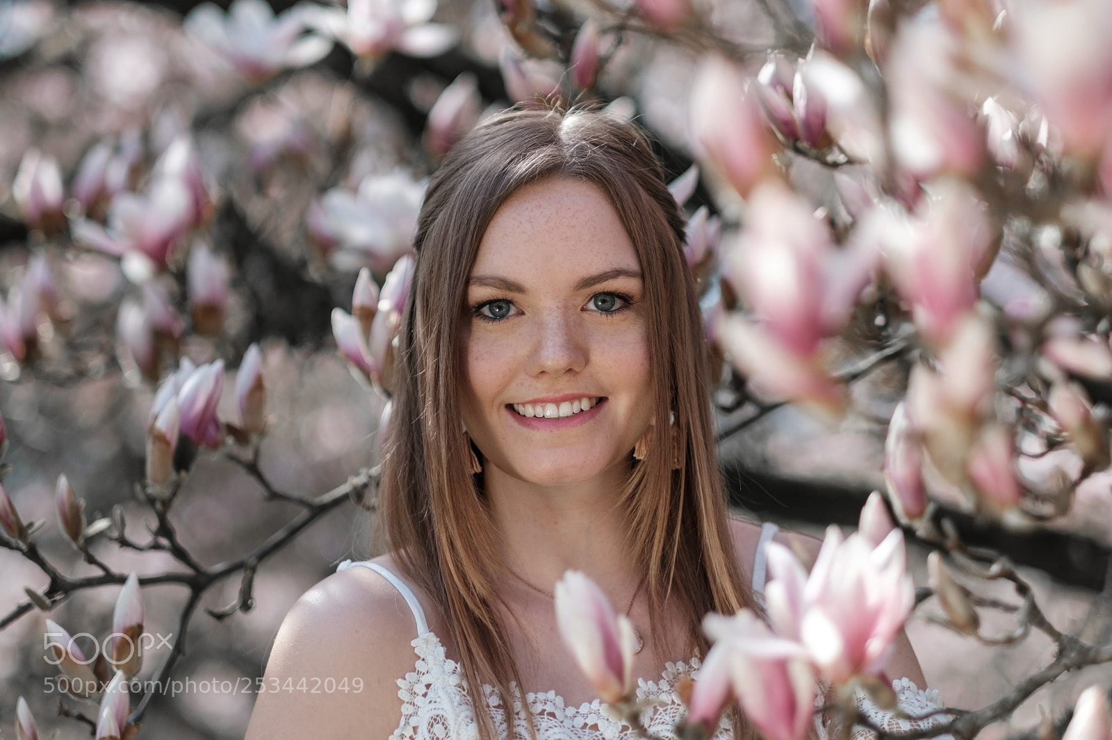 Fujifilm X-T2 sample photo. Lovely magnolia trees 01 photography