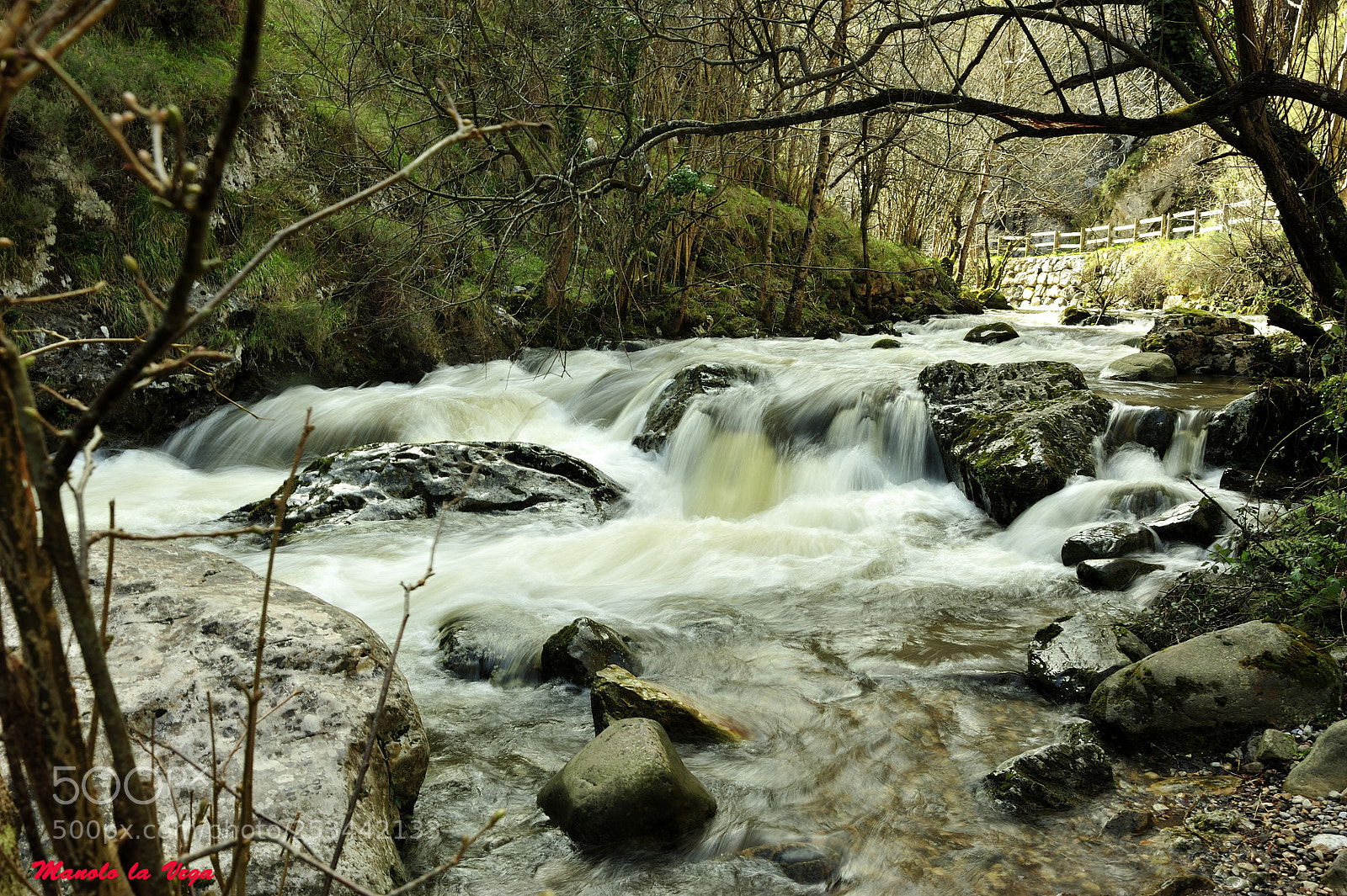 Nikon D700 sample photo. Untitled photography