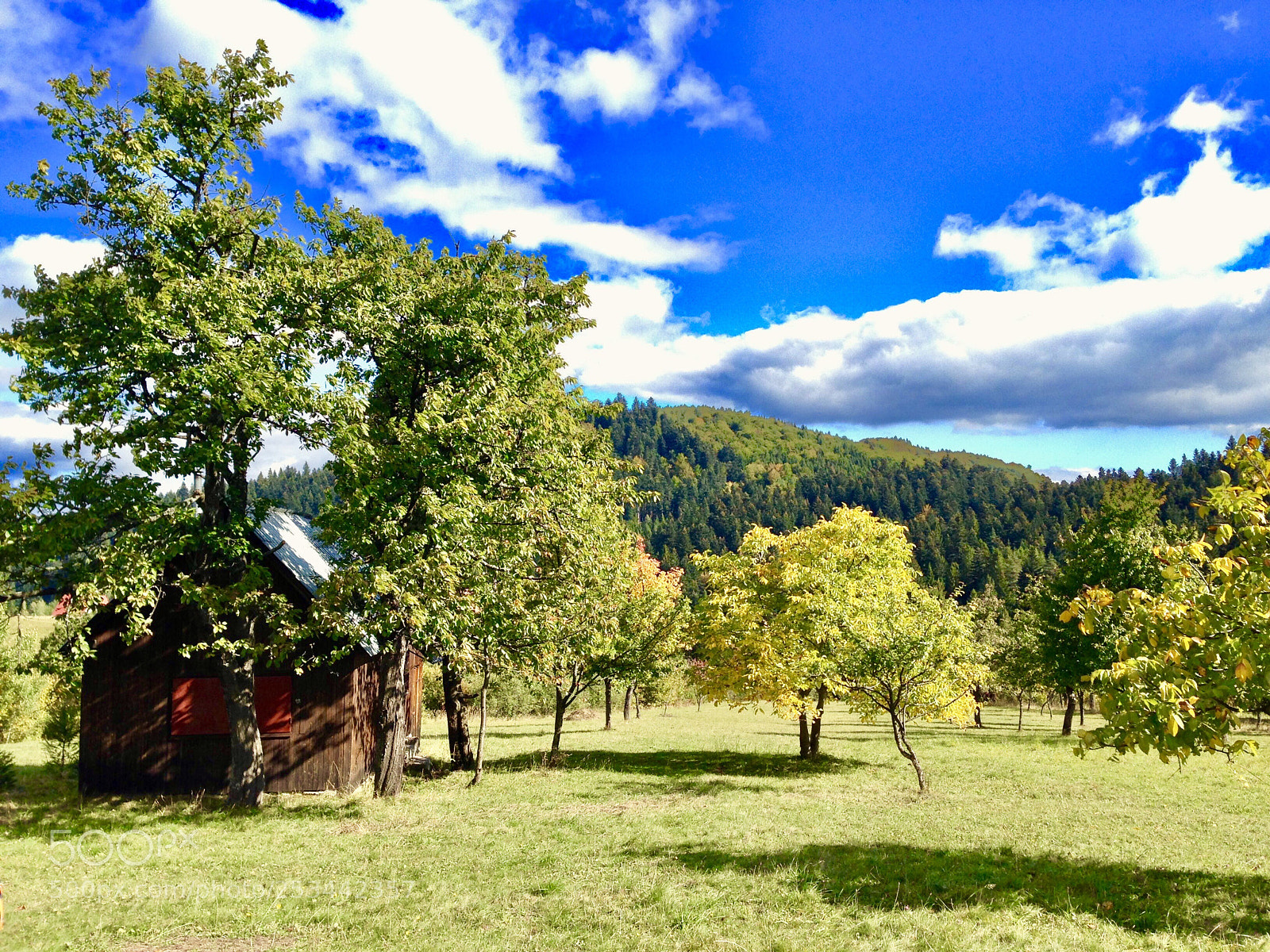 Apple iPhone 5 sample photo. Lost in nowhere photography