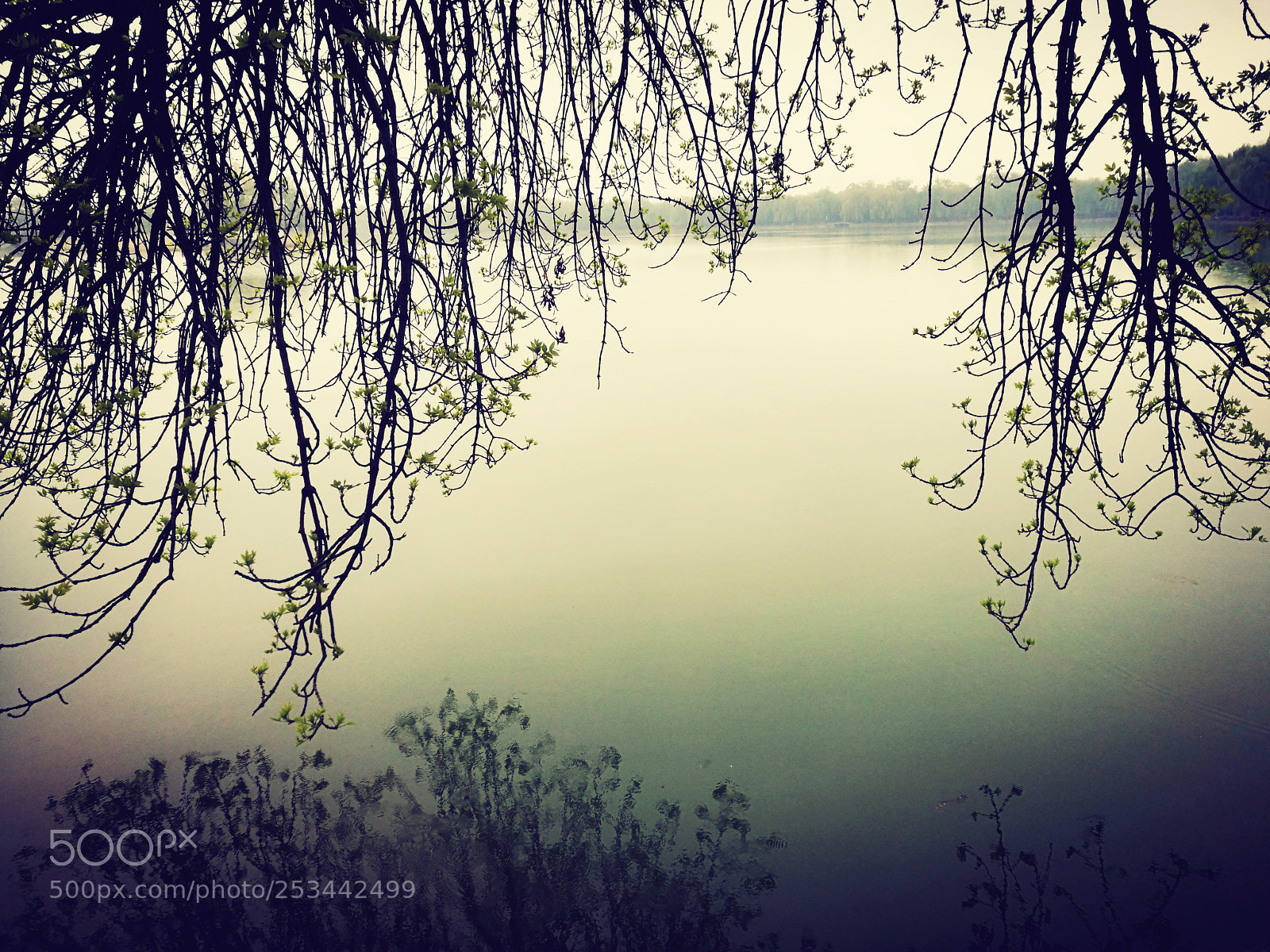 HUAWEI P9 sample photo. Reflection lake photography