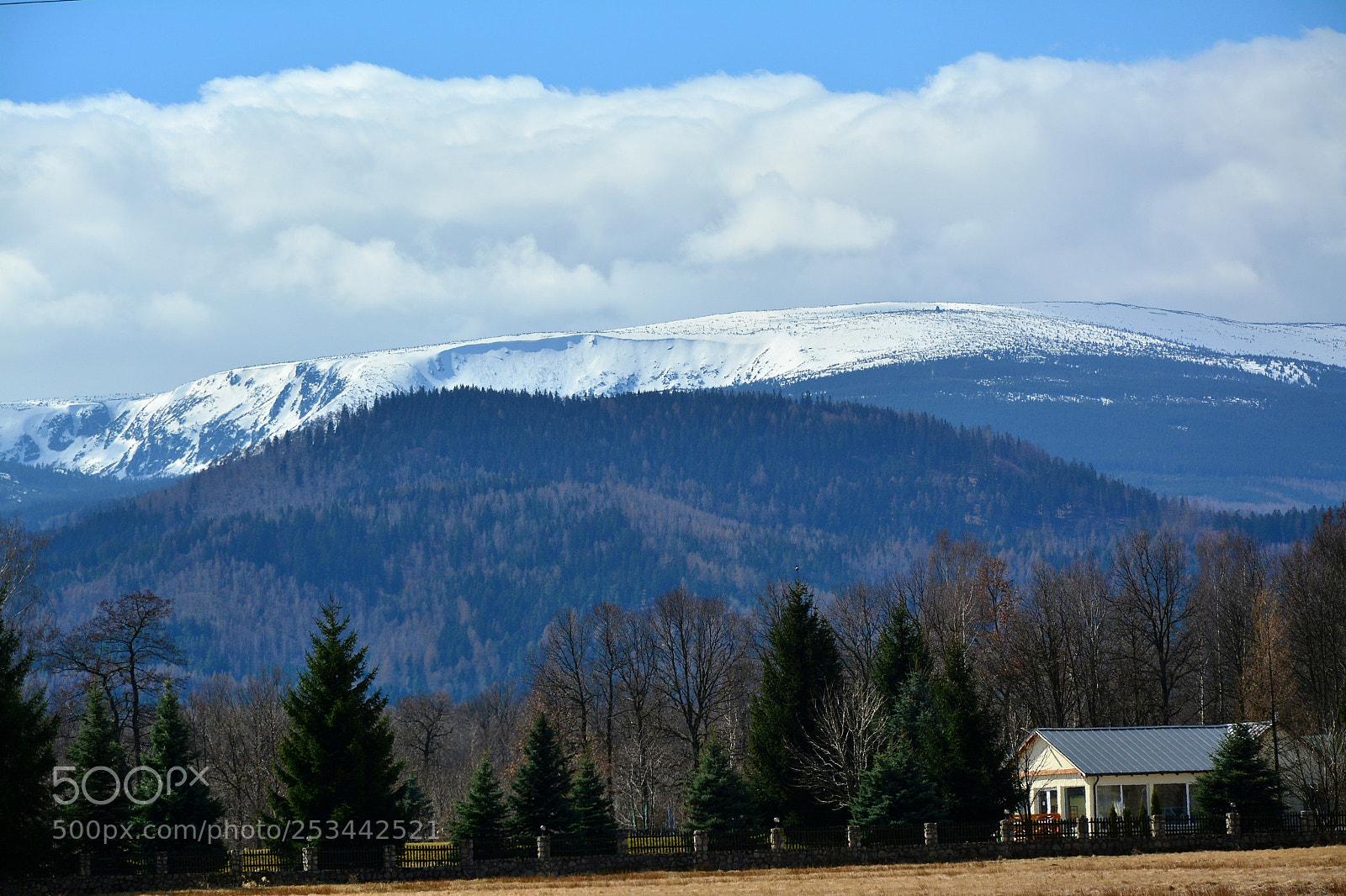 Nikon D5200 sample photo. I prefer to spend photography
