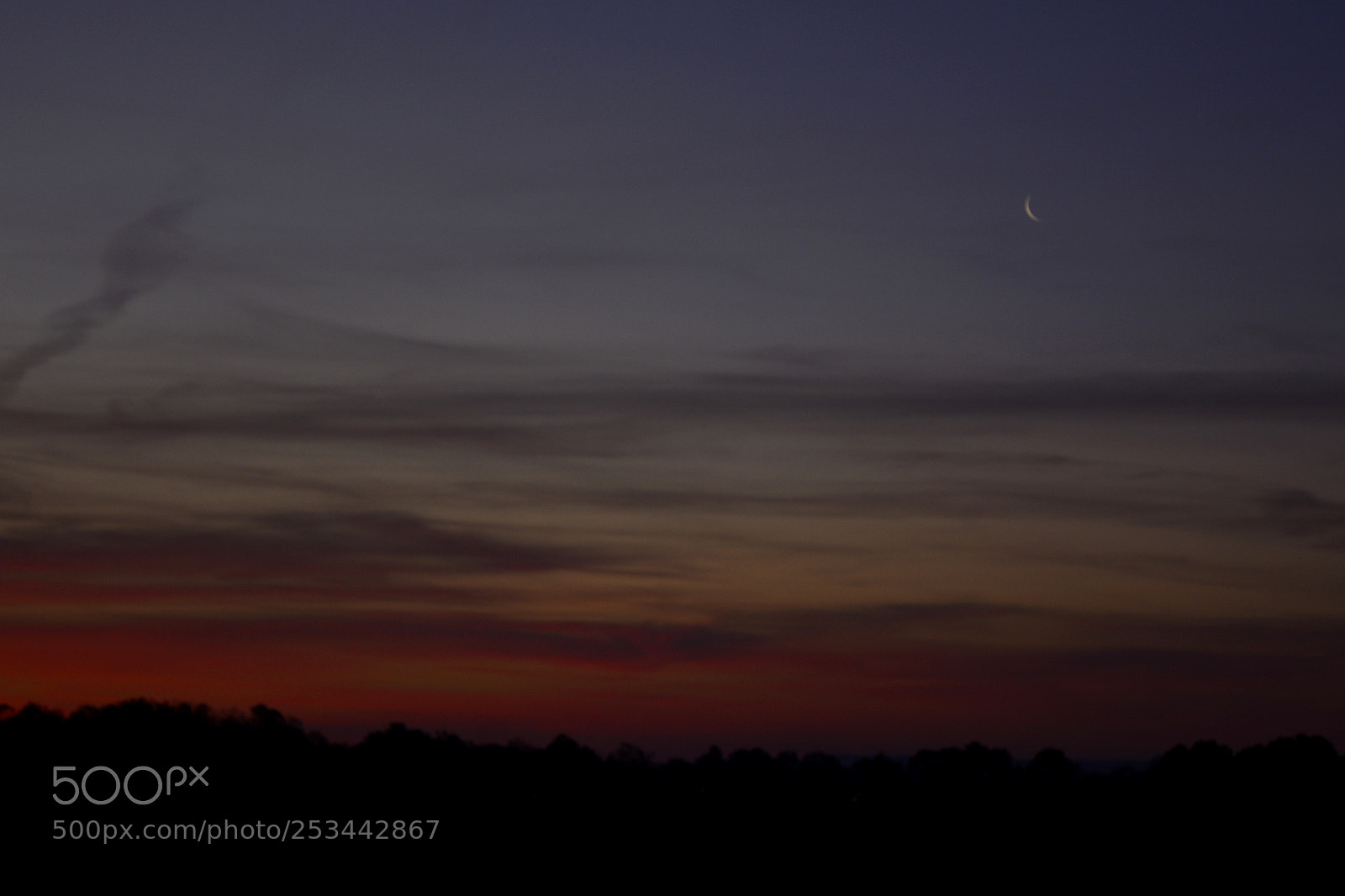 Nikon D7100 sample photo. Quarter moon at dawn 4/13/18 photography