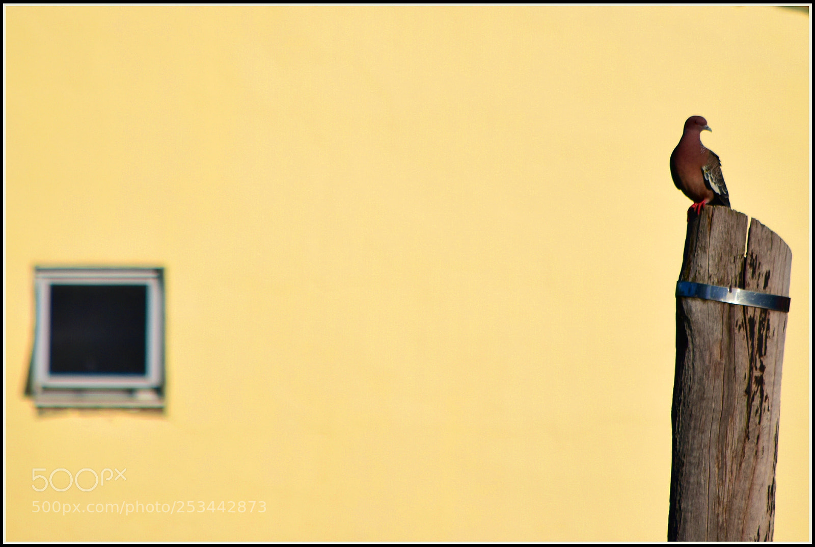 Nikon D5300 sample photo. "bonjuxuxu ✓... photography