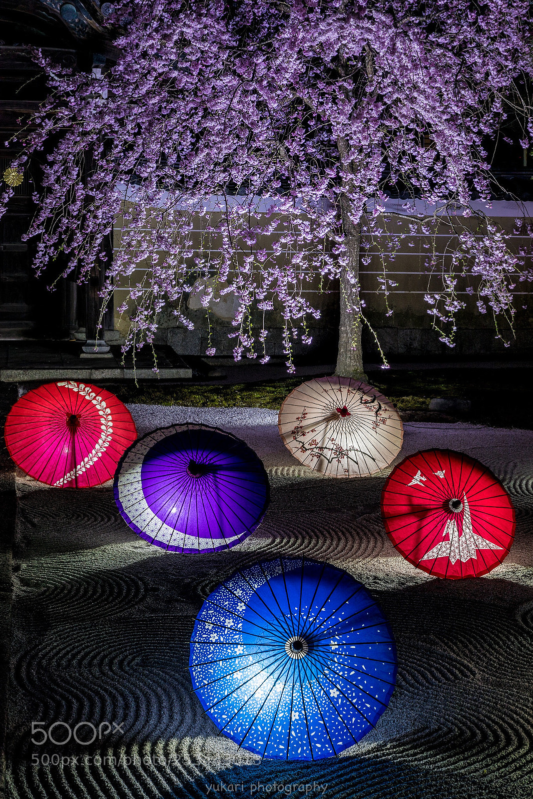 Canon EOS 5D Mark IV sample photo. Japanese garden kyoto photography