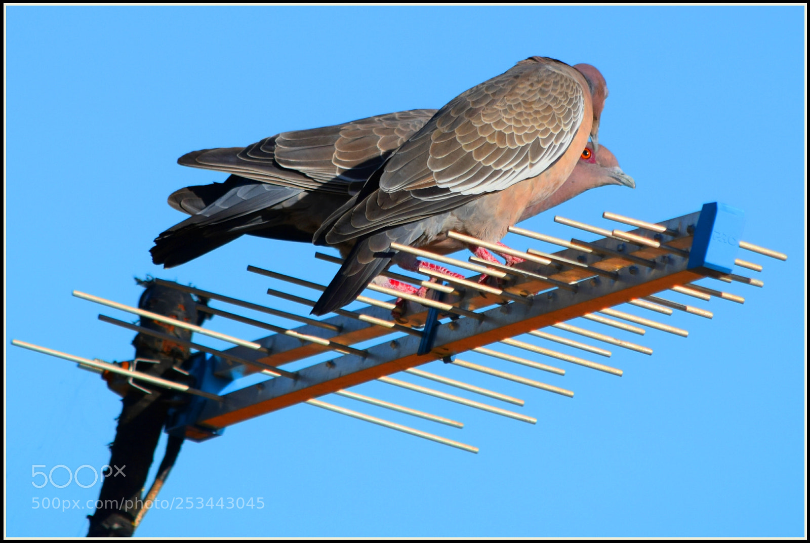 Nikon D5300 sample photo. ... photography