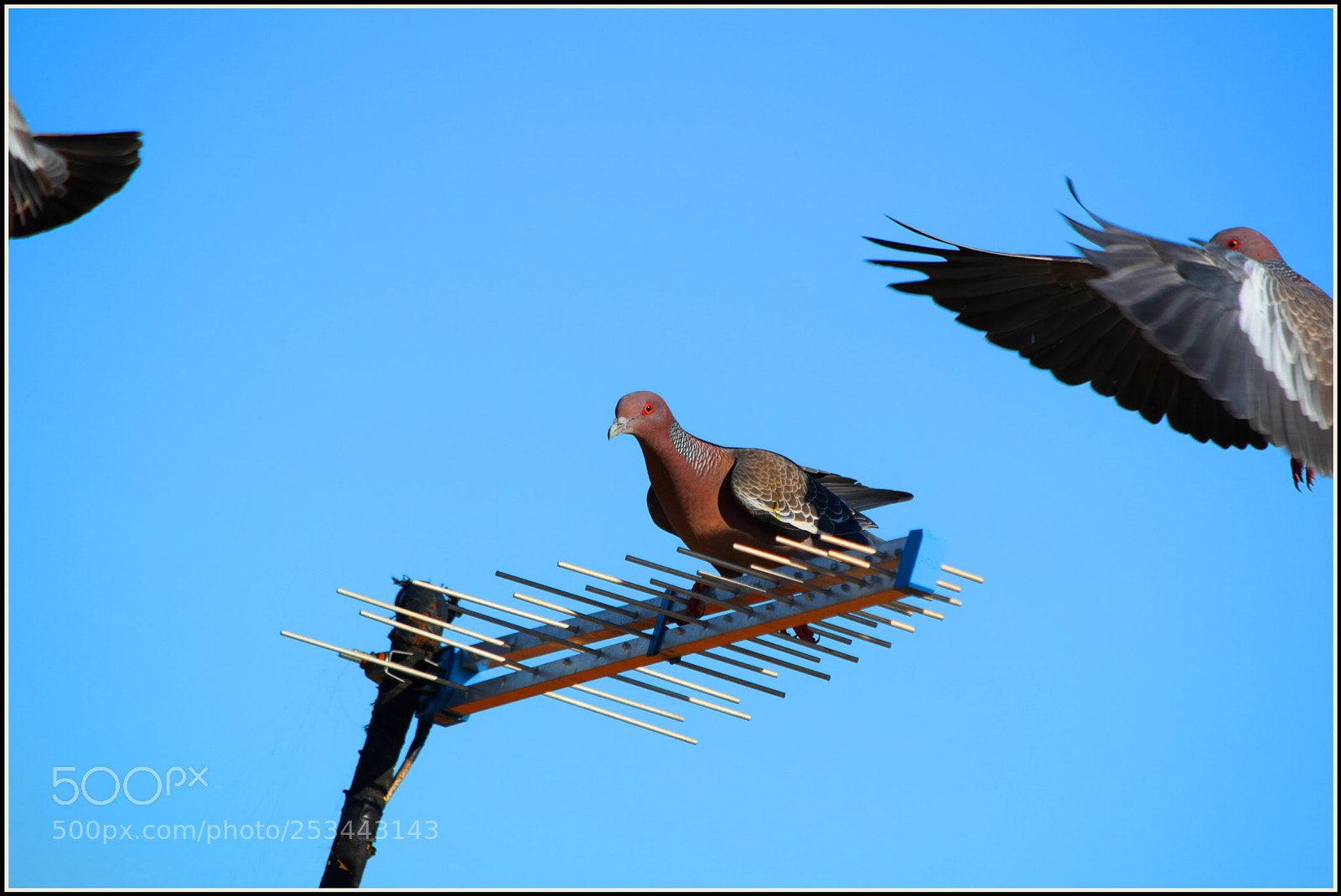 Nikon D5300 sample photo. ... photography