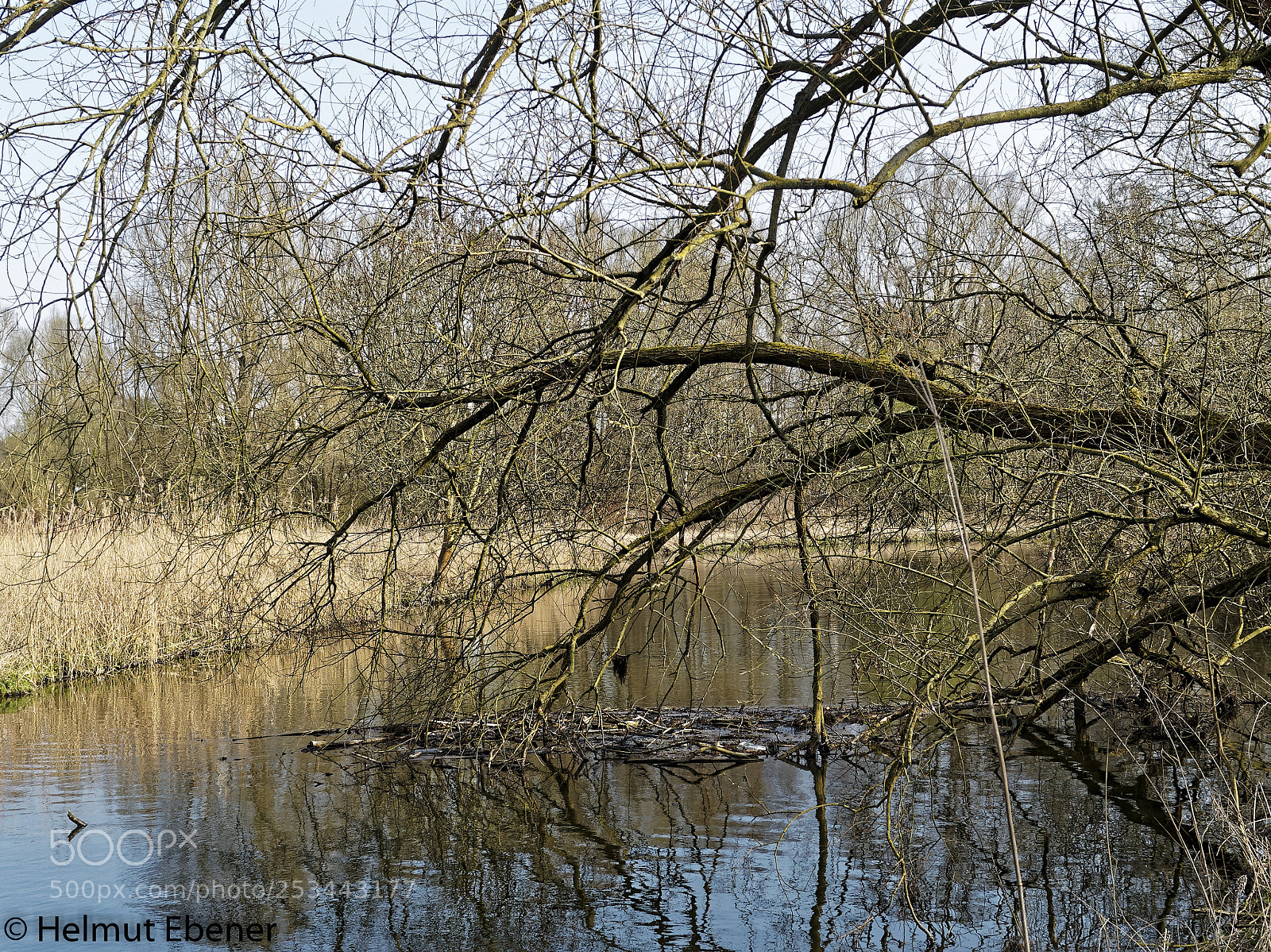 Olympus OM-D E-M5 sample photo. Braunschweig, natur photography
