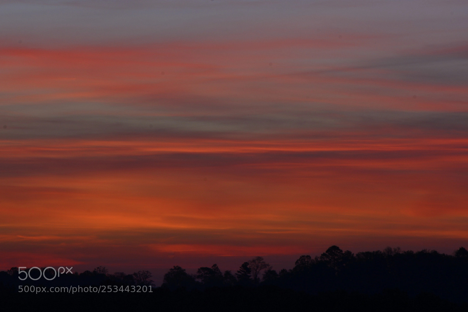 Nikon D7100 sample photo. Dawn reds 4/13/18 photography