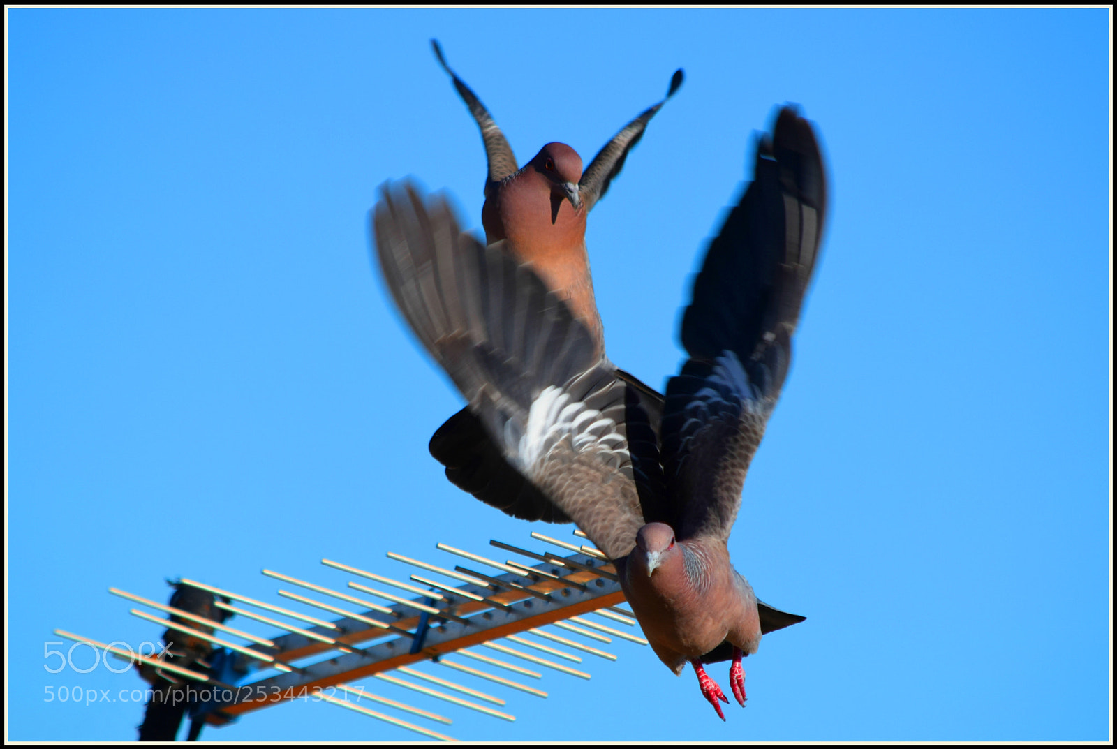 Nikon D5300 sample photo. ...;-)" photography