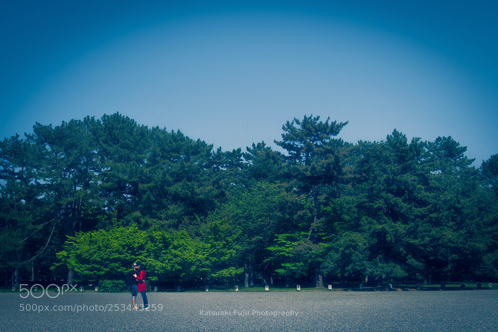 Olympus OM-D E-M10 sample photo. Kiss photography
