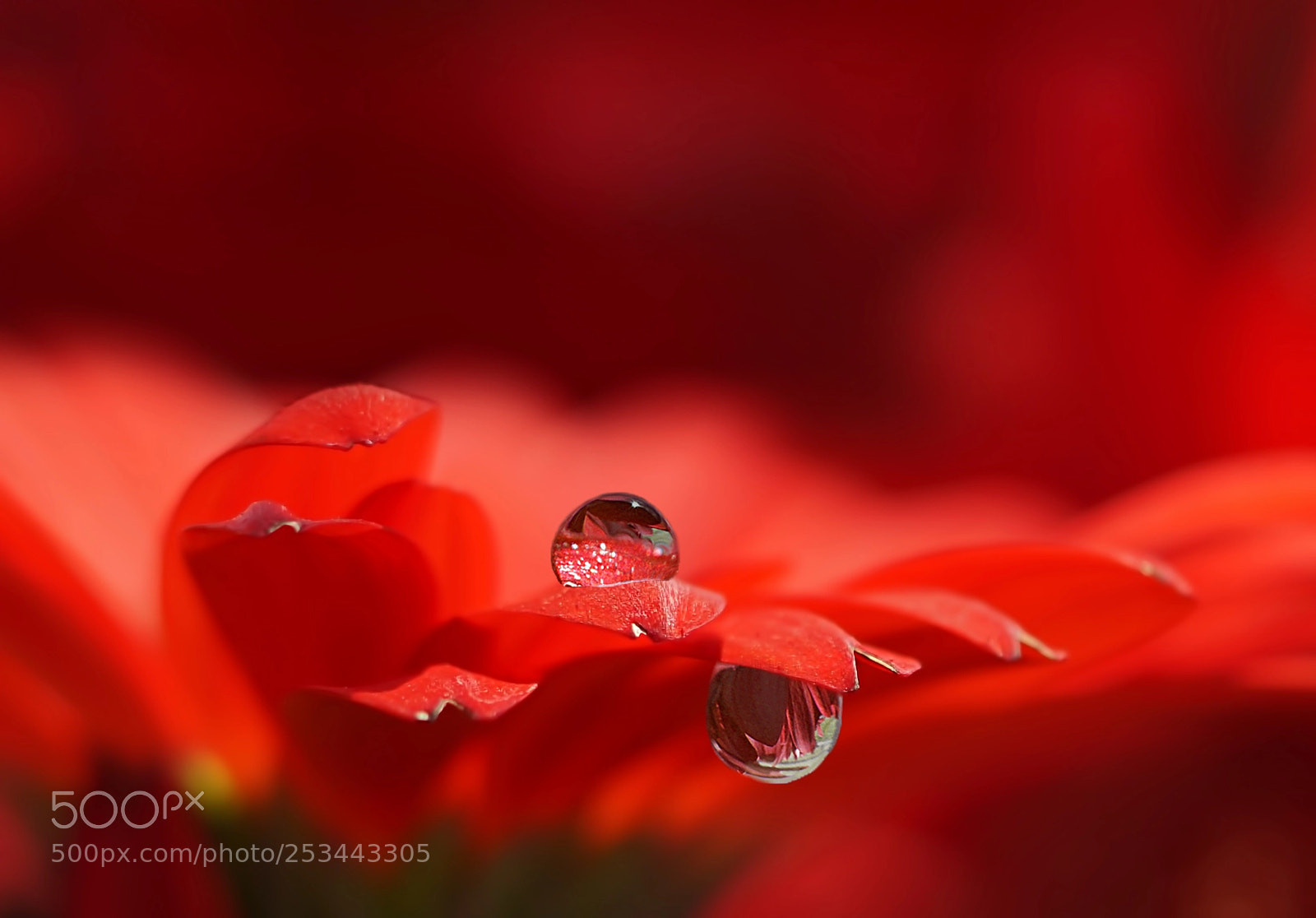 Sony a5100 sample photo. Water droplets photography