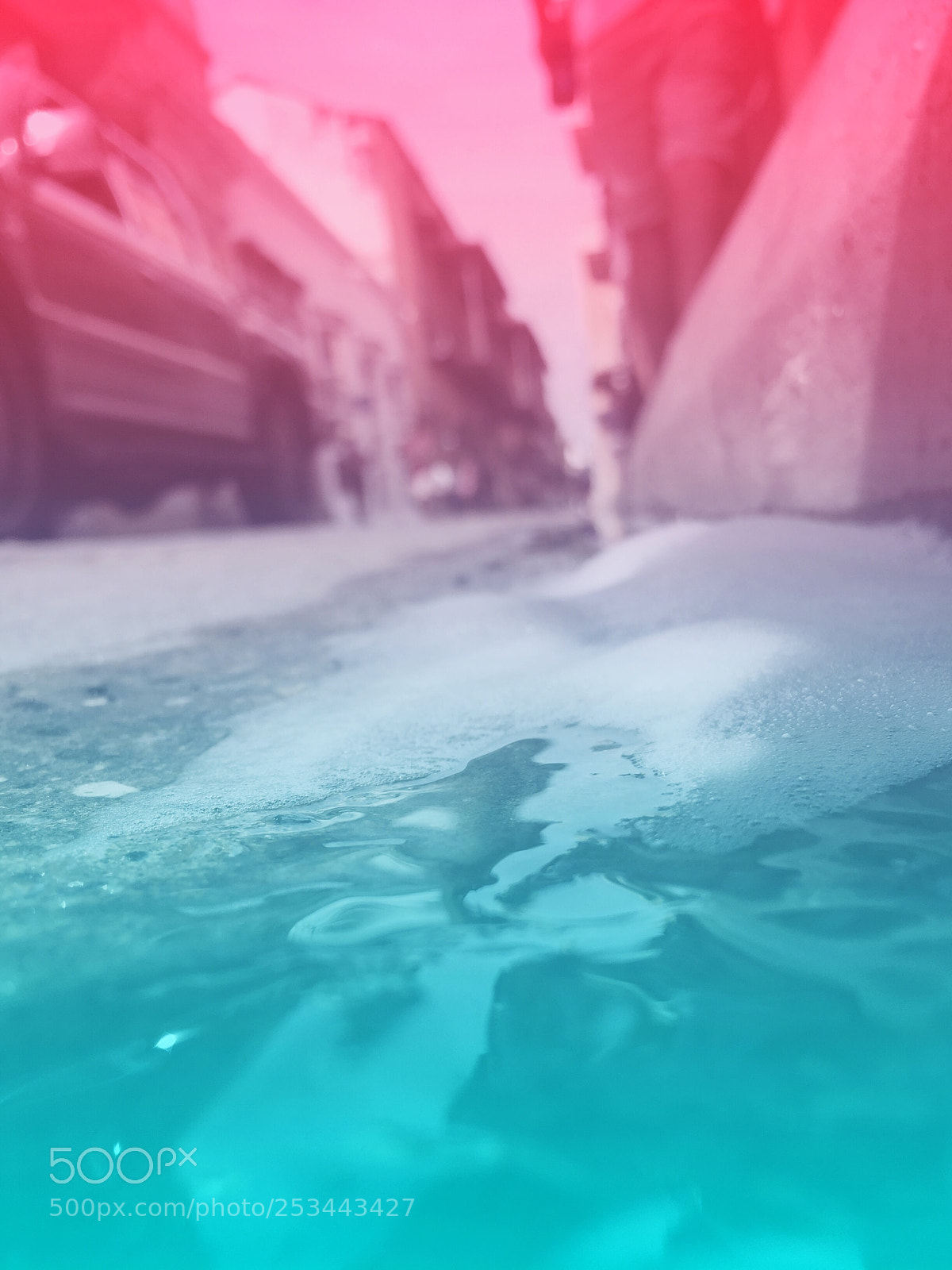 Apple iPhone 6 sample photo. Mirada de culebra 1/2 photography