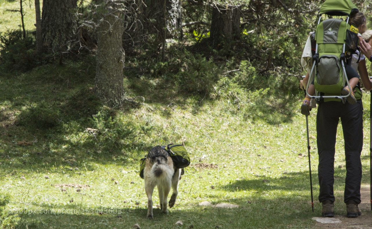 Nikon D7200 sample photo. De excursión photography