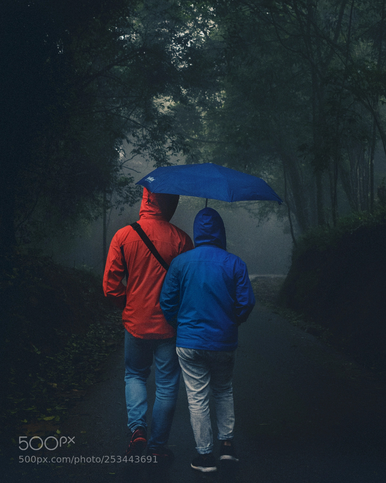 Nikon D3300 sample photo. A sense of belonging. photography