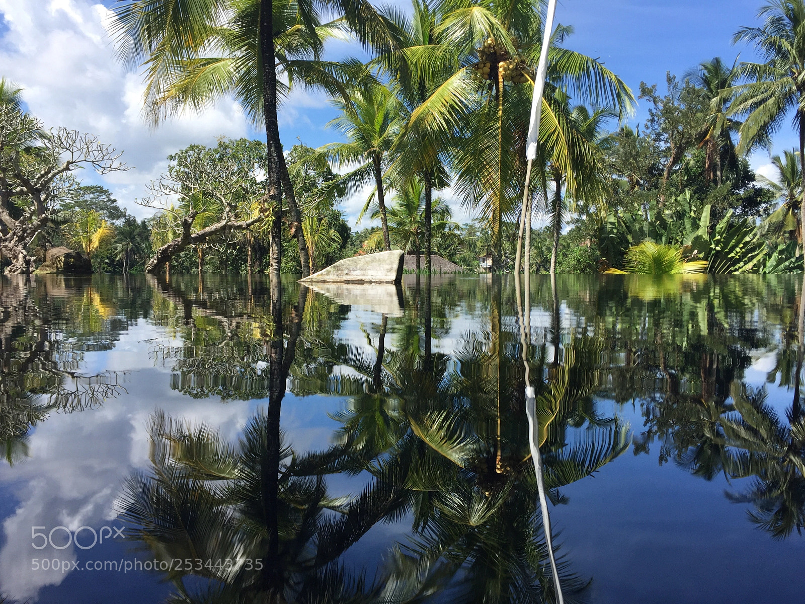 Apple iPhone 6 sample photo. Mirror mirror  photography