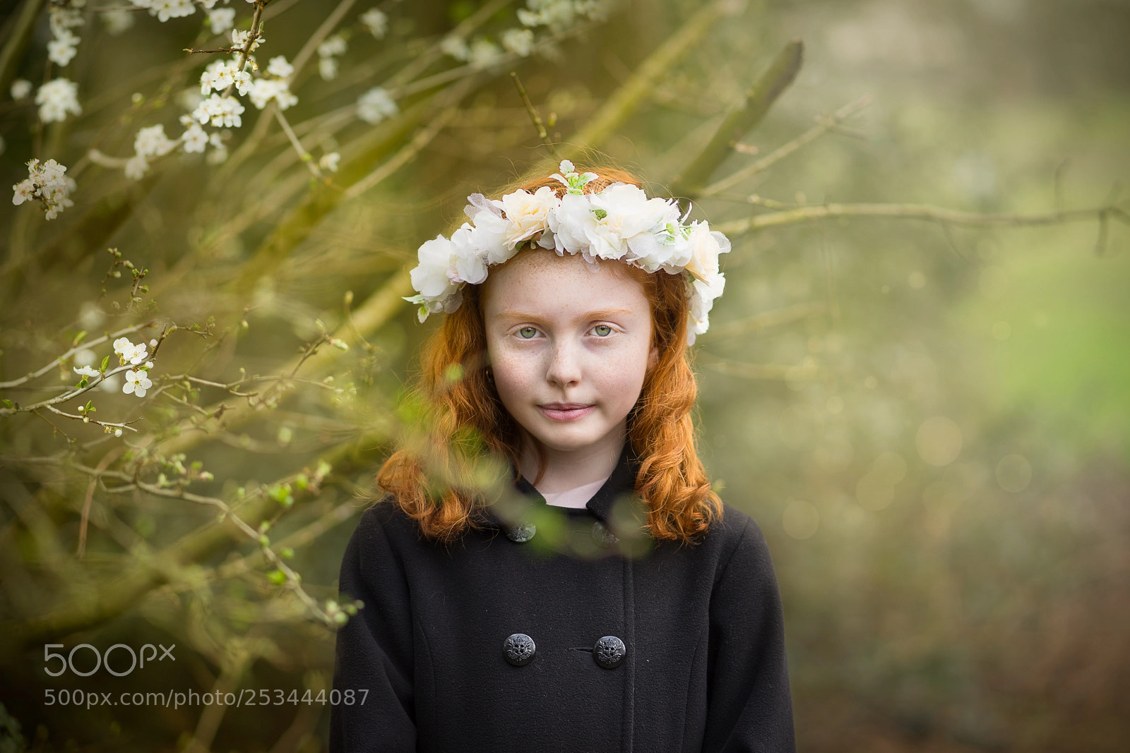 Sony a7 II sample photo. Blossoms! photography