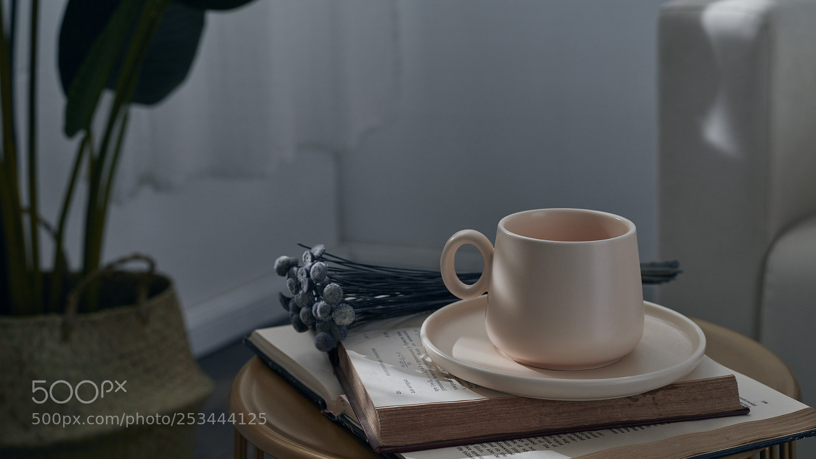 Canon EOS 5DS R sample photo. Untitled photography