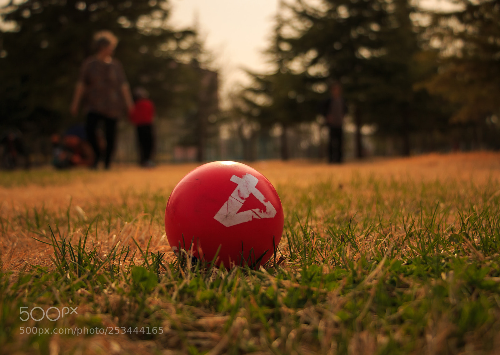 Canon EOS 70D sample photo. 4 photography