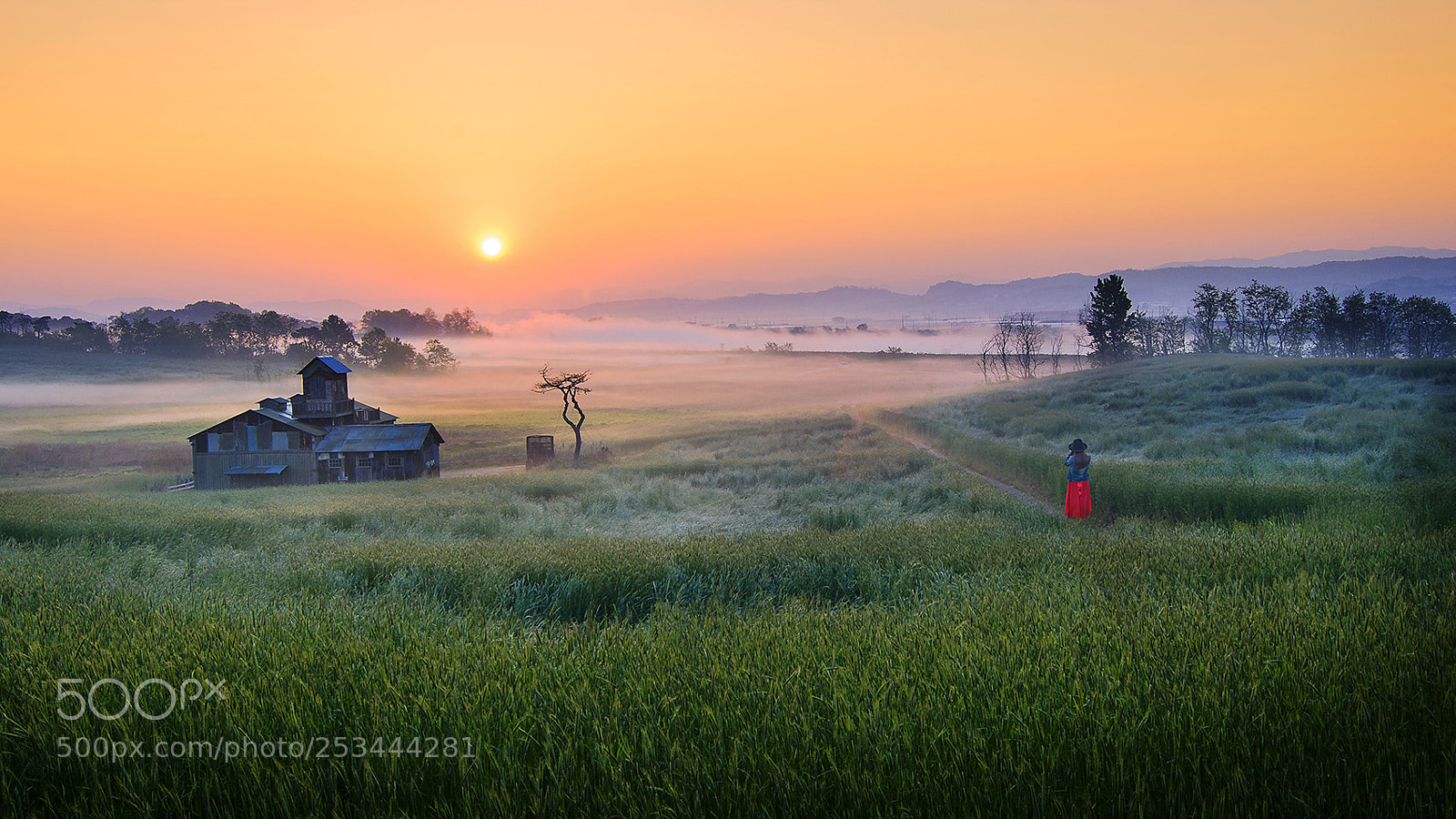 Nikon D7100 sample photo. 목장의일출풍경 photography