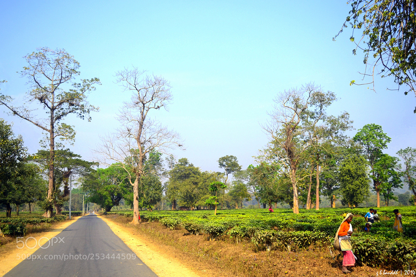Nikon D3100 sample photo. Working hand with nature photography