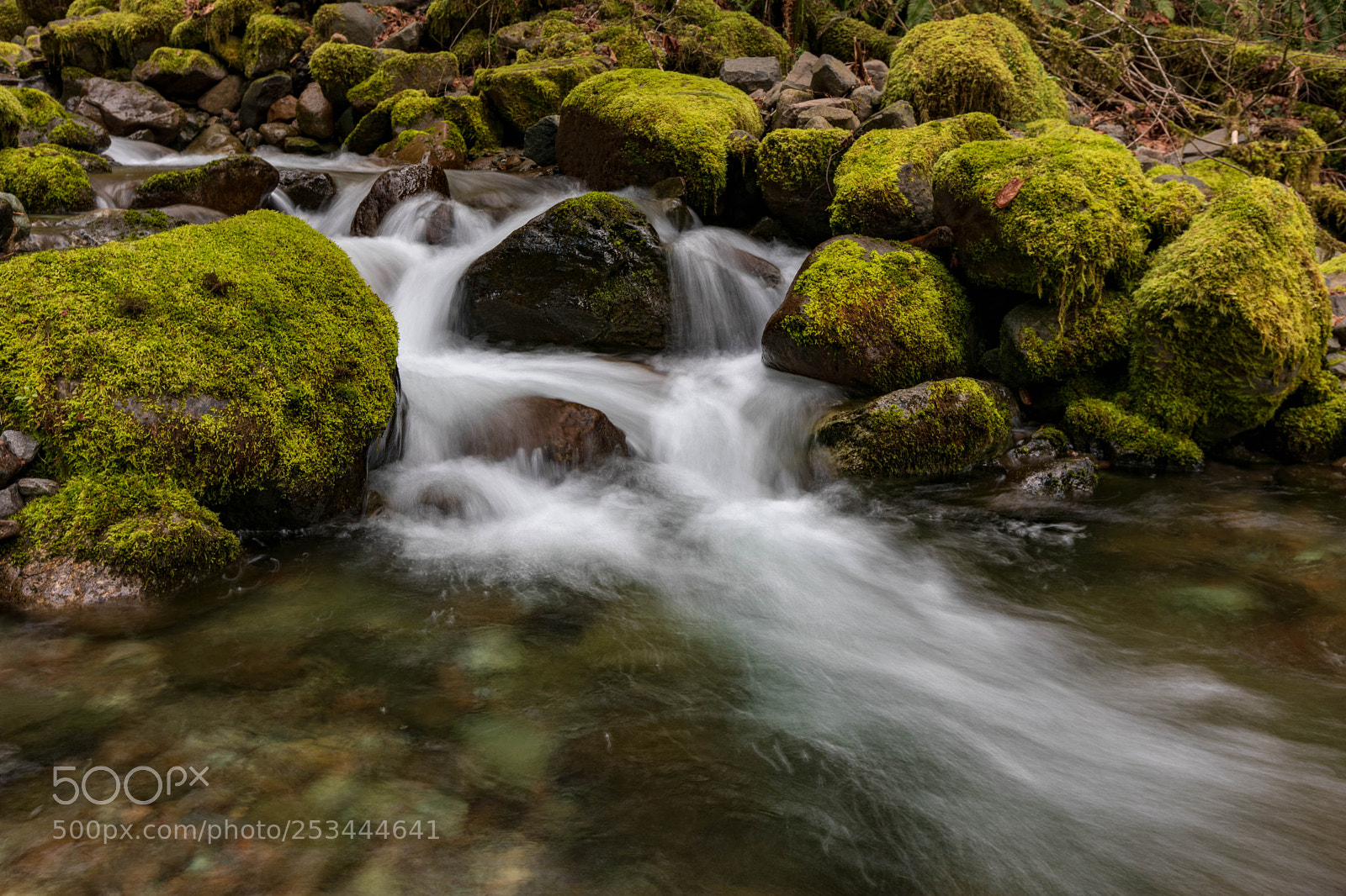 Canon EOS 5D Mark IV sample photo. Clean mountain water photography