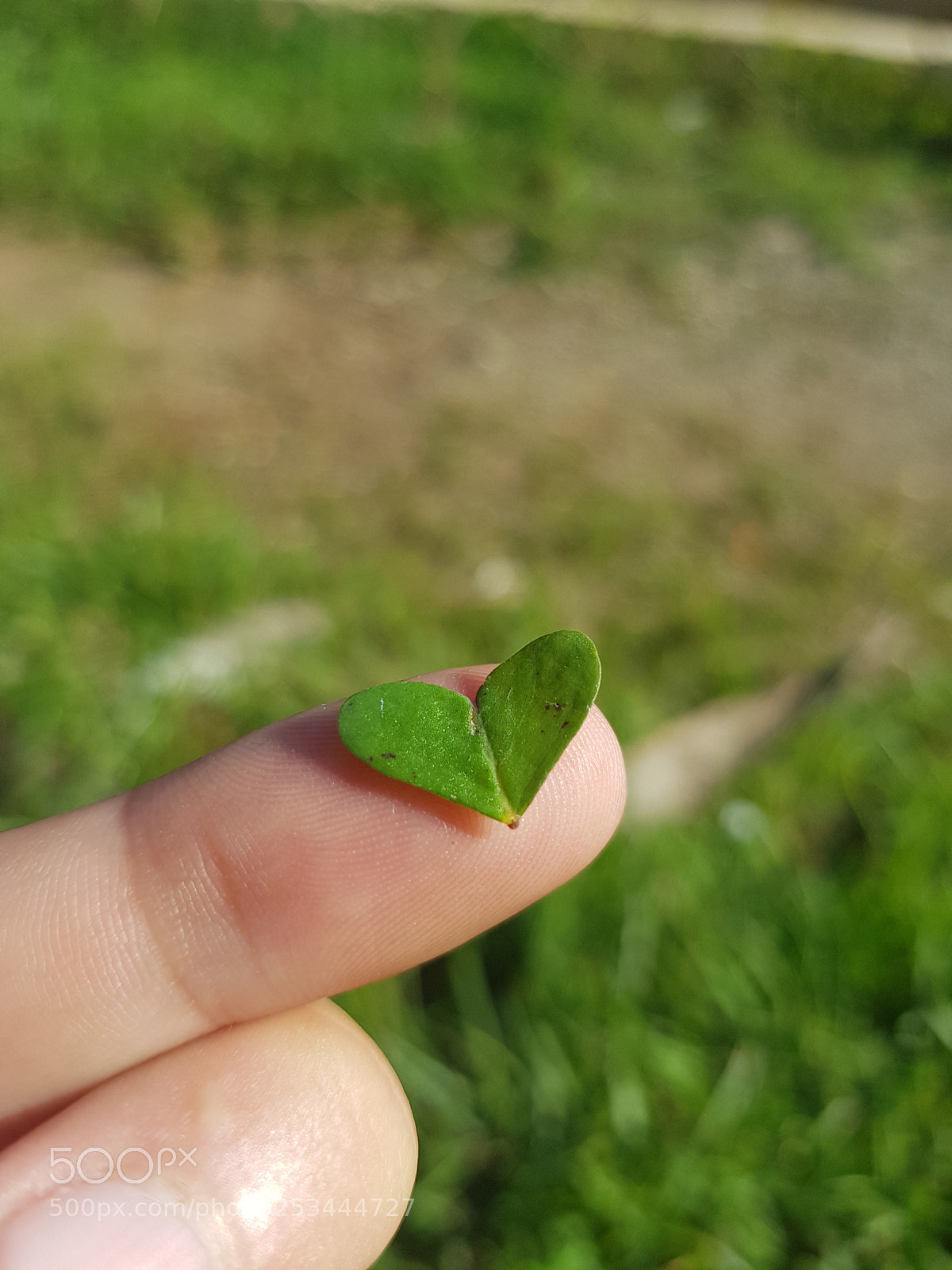 Samsung Galaxy S8 sample photo. Untitled photography
