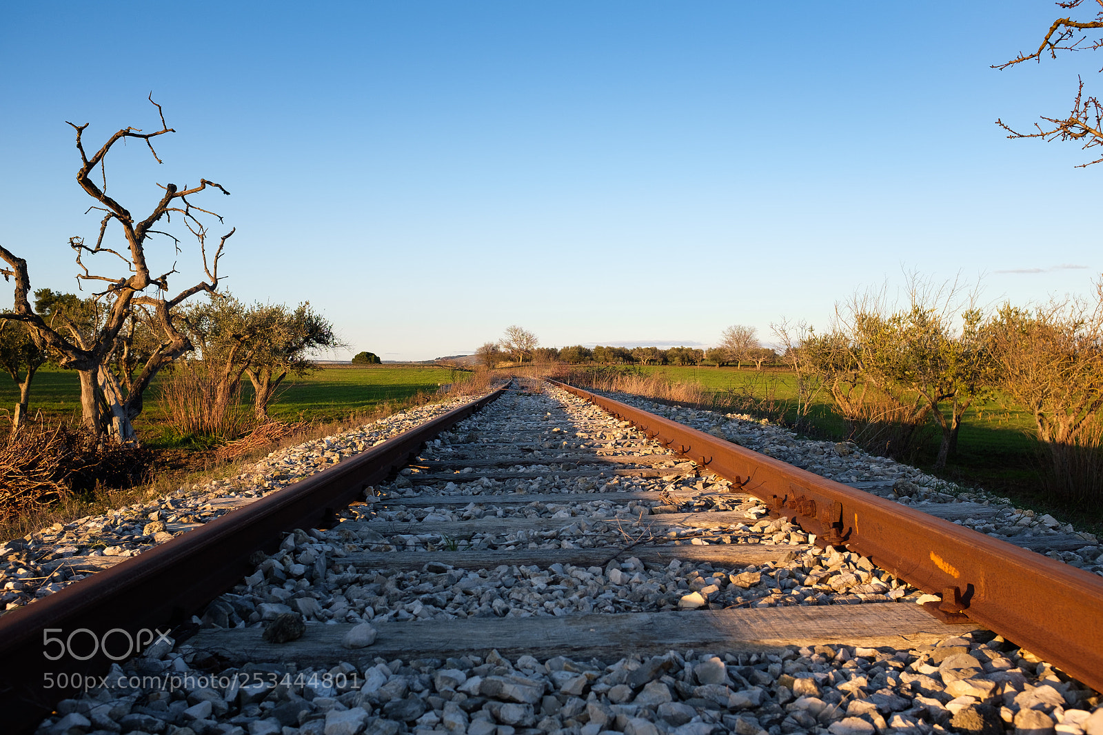 Fujifilm X100S sample photo. Abandoned railroad crossing countryside. photography