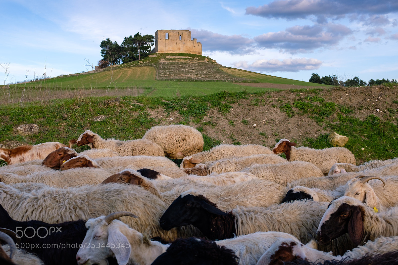 Fujifilm X100S sample photo. Ruins of frederick ii's photography