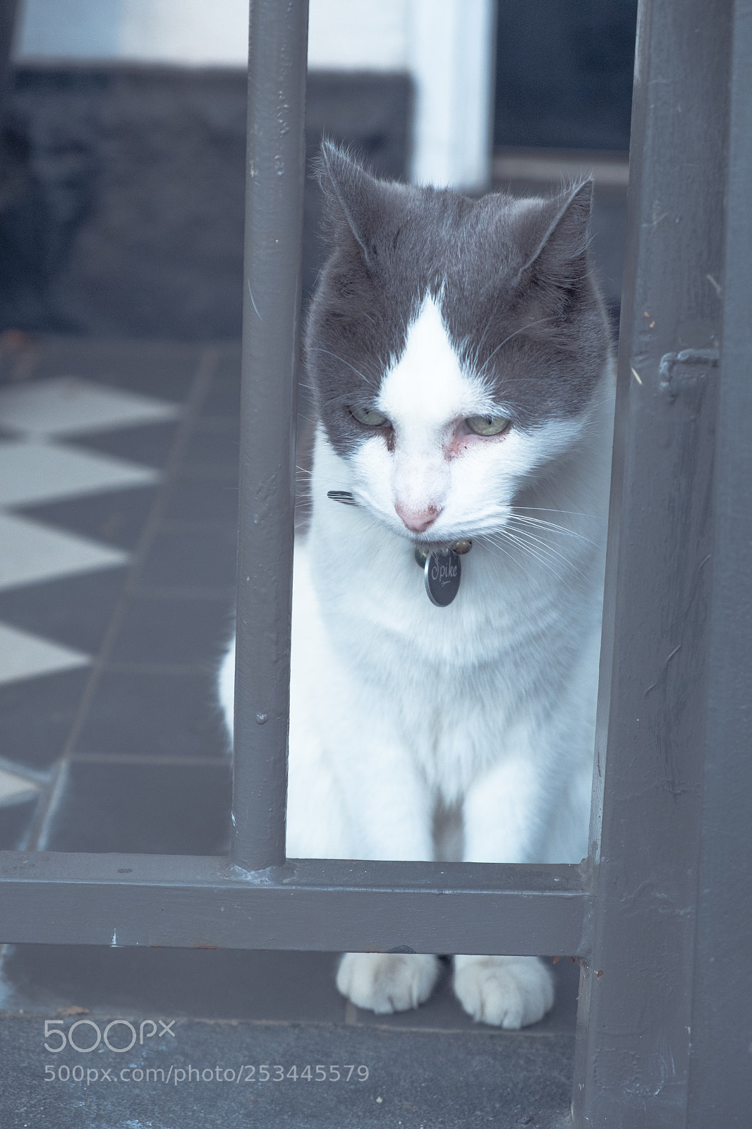 Fujifilm X-T2 sample photo. 思念  miss photography