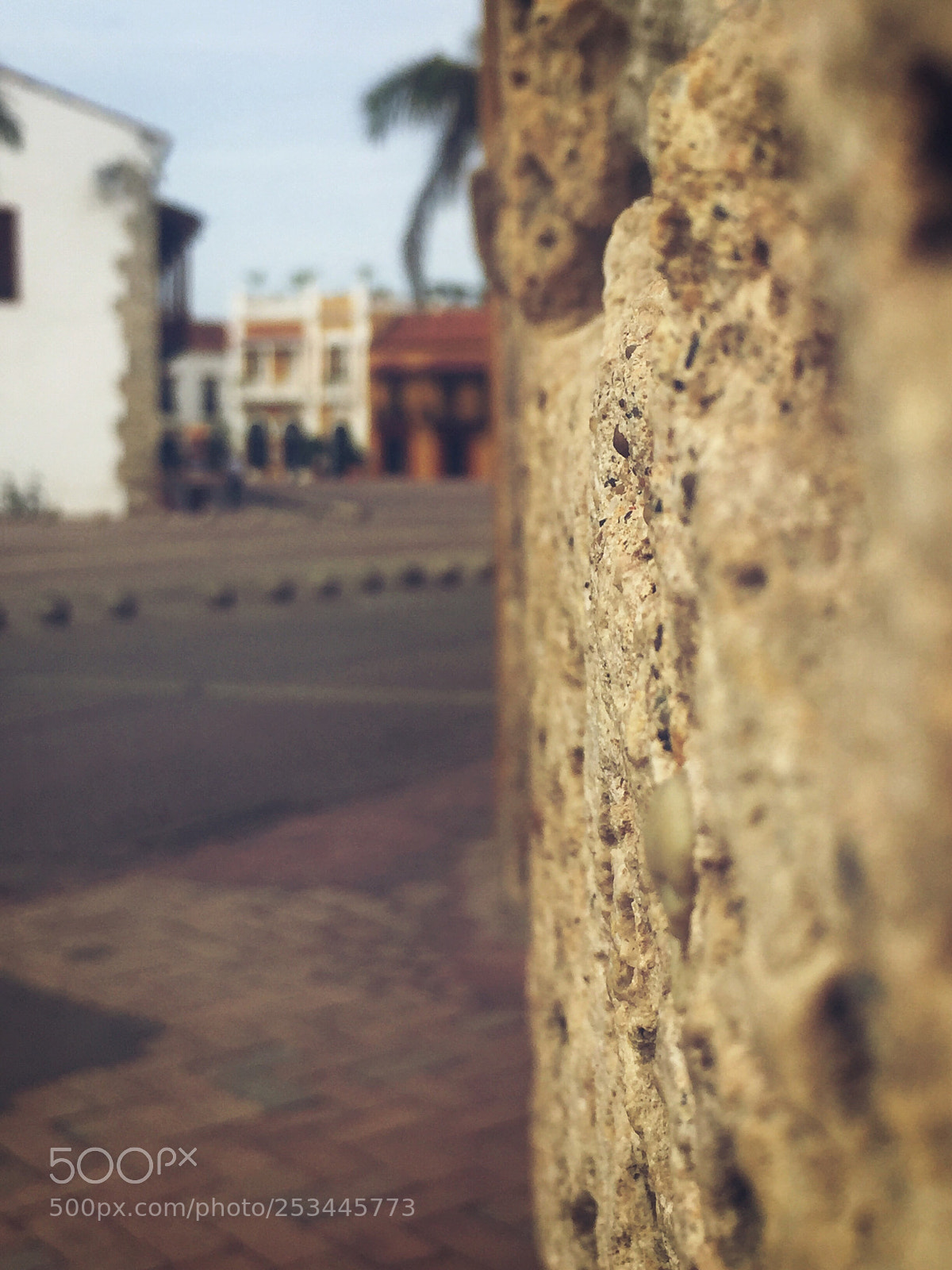 Apple iPhone 6 sample photo. Mirada de rata 1/2 photography