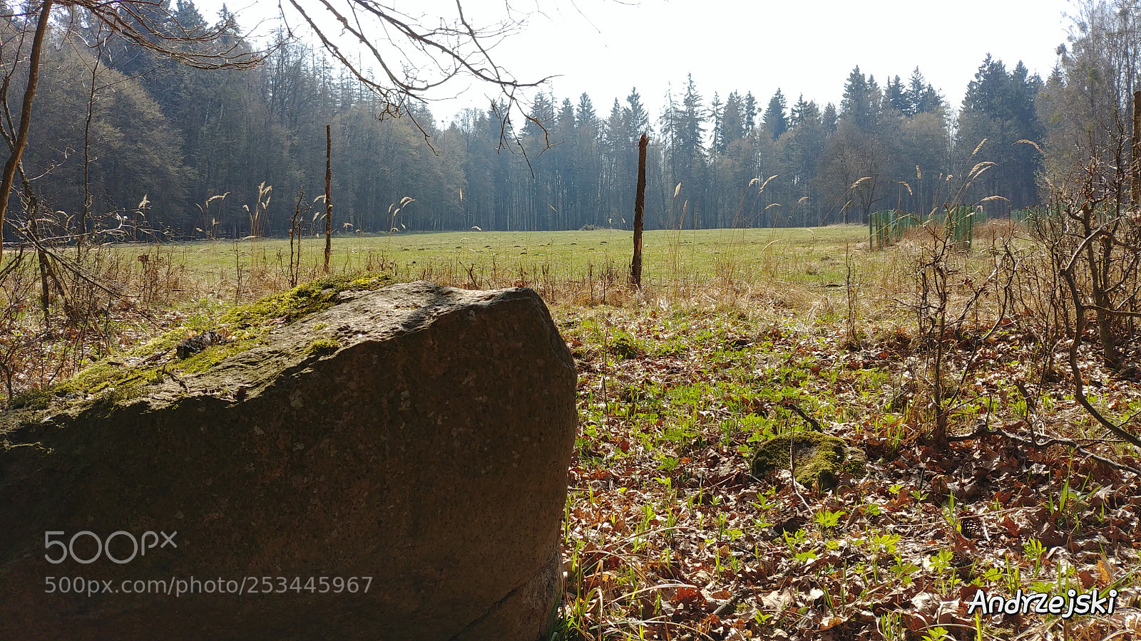 LG G6 sample photo. 20180413_105439.jpg photography